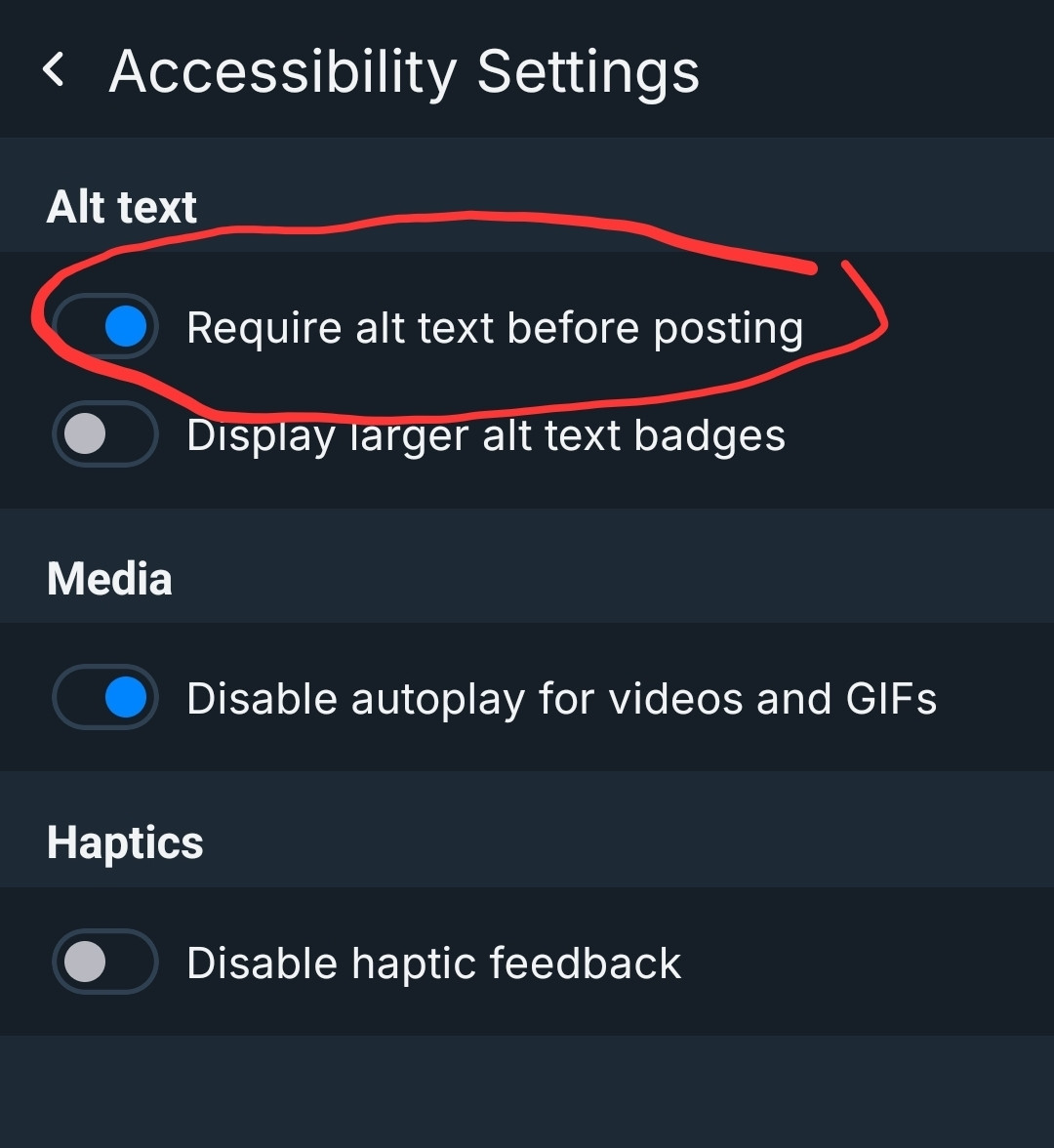 Screen shot of accessibility settings with "required alt text before posting" option circled