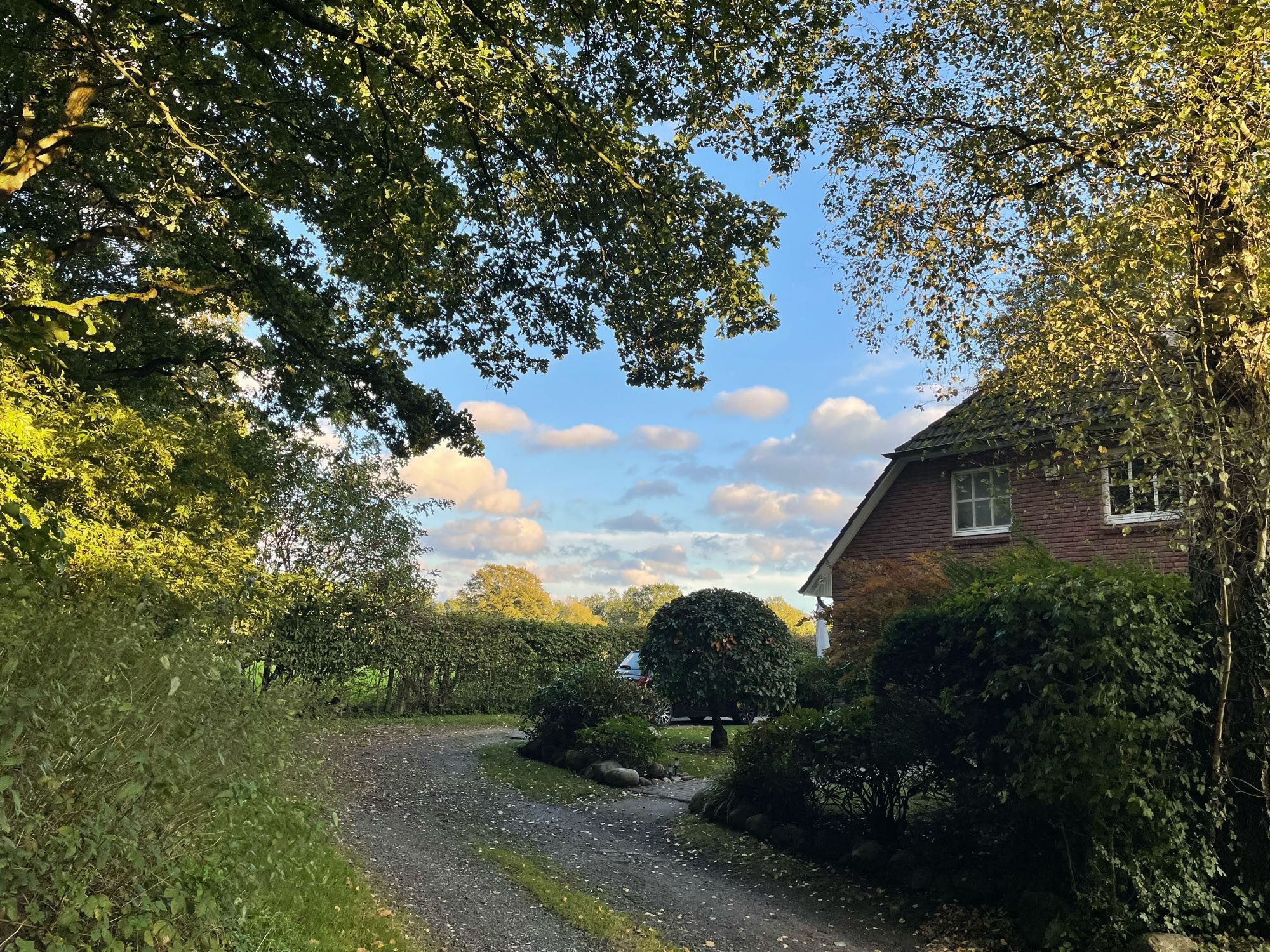 Ein Schotterweg, gesäumt von Bäumen und Sträuchern. Dahinter auf einer Seite ein giebelständiges norddeutsches Rotklinkerhaus mit weißen Sprossenfenstern. Der Weg läuft auf eine Hecke zu, dahinter weitere Bäume. Darüber hellblauer Abendhimmel mit norddeutschen Schäfchenwolken. Die Luft ist herbstlich frisch. Das Licht klar und hell gegen Abend