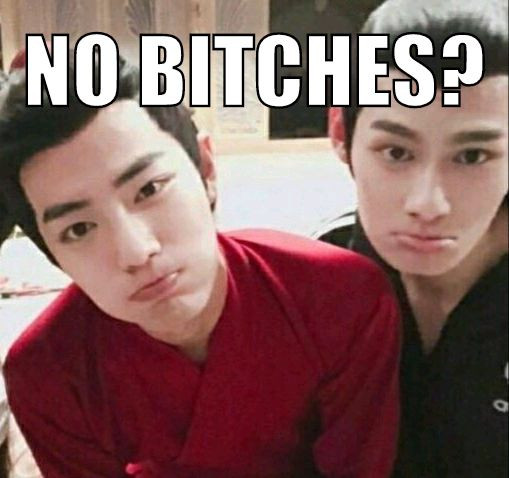 A screenshot of the actors of Wei Wuxian and Jiang Cheng (Xiao Zhan and Wang Zhuocheng respectively) pouting at the camera. The text says "NO BITCHES?" in a mocking manner