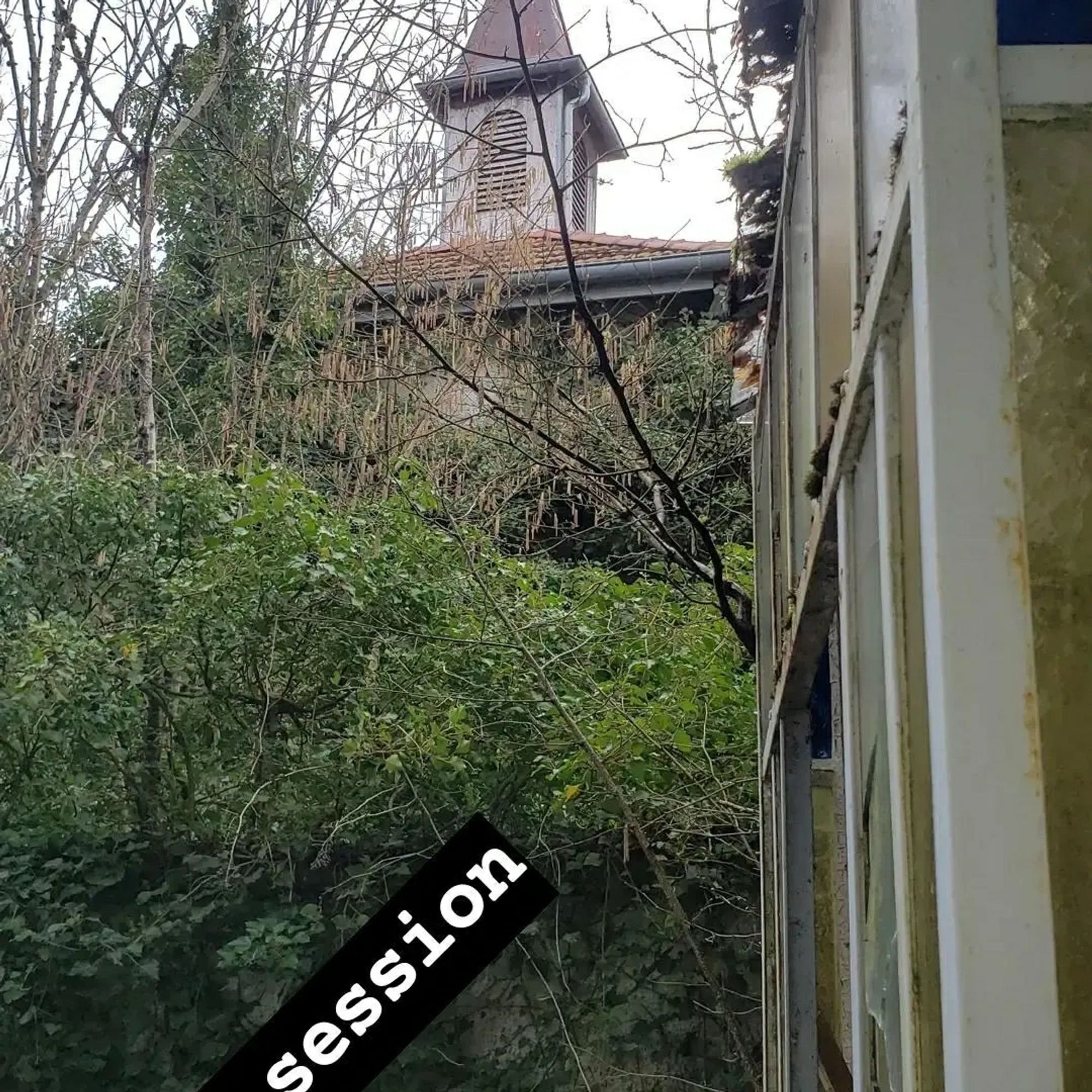 Urbex session , vue sur un clocheton avec de la végétation tout autour