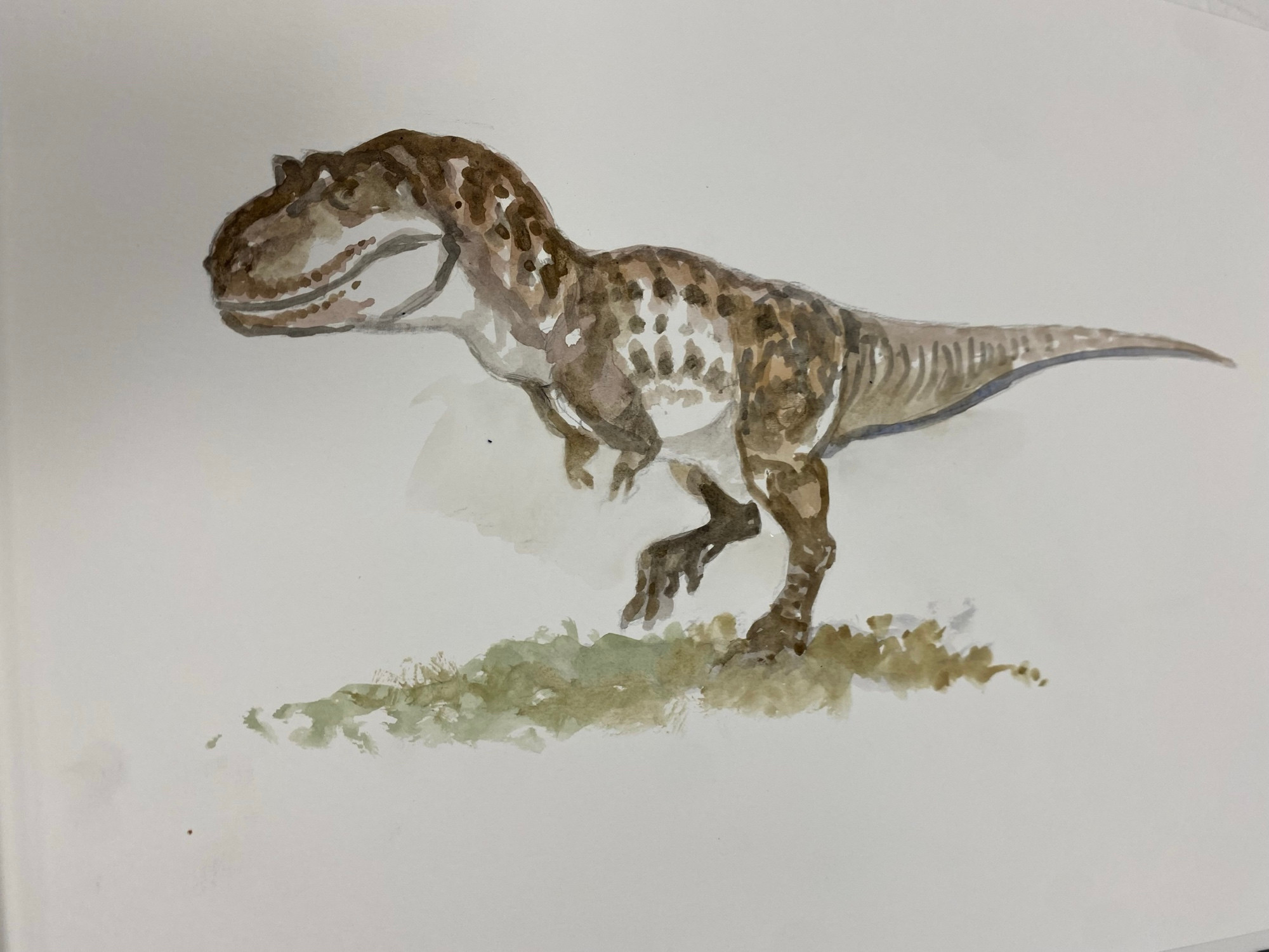 Watercolour tyrannosaur from the art rooms 