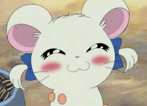 bijou from hamtaro smiling with blush