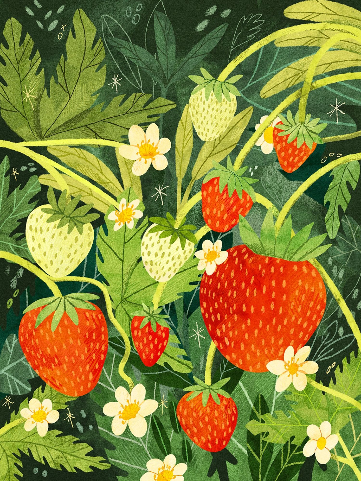 A digital drawing of a close look at lots of strawberries, flowers and leaves! Some strawberries are green/white due to not being ripe, and the leaves are a warm and vibrant colour.