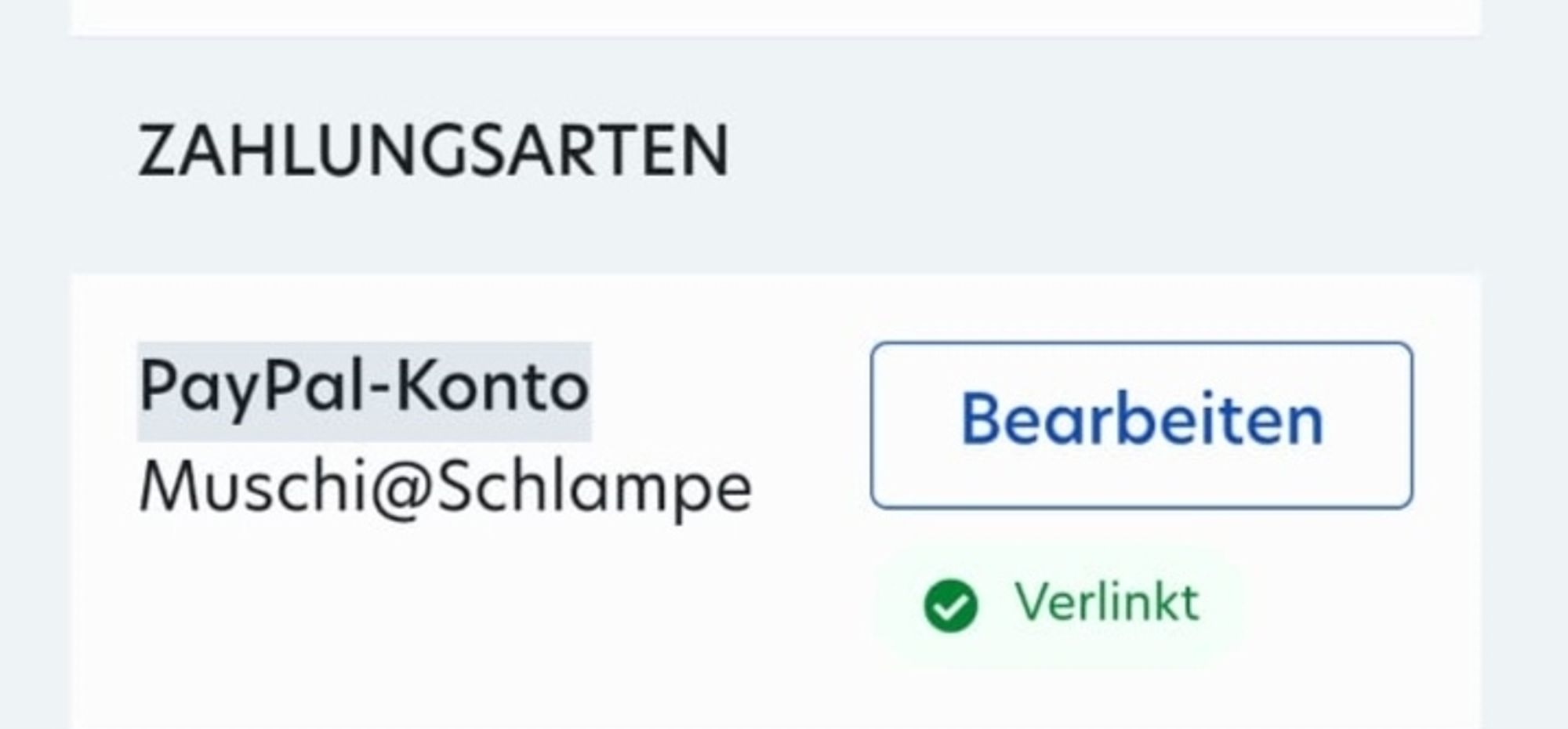 Screenshot. Oben steht "Zahlungsarten", darunter "Paypal-Konto" und wiederum darunter "Muschi@Schlampe".