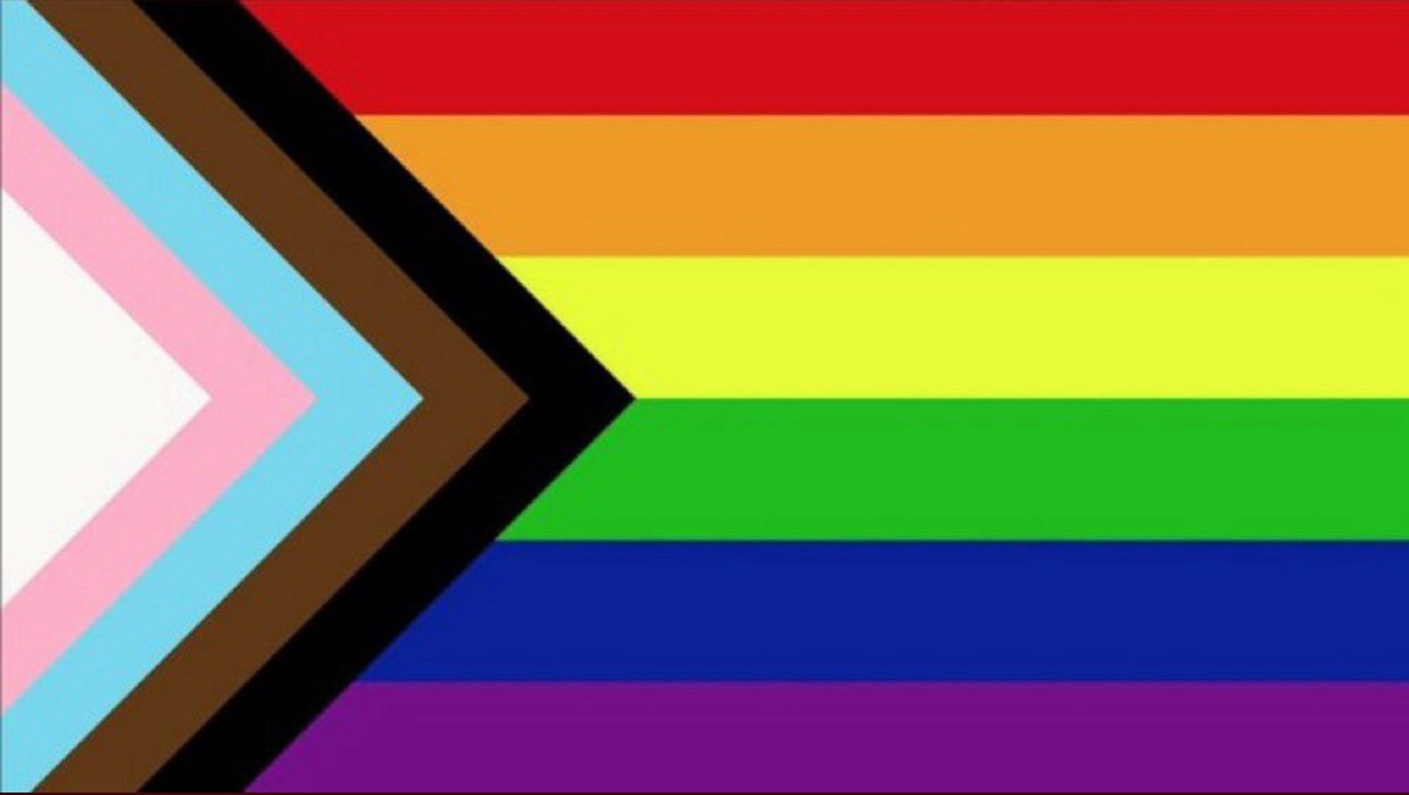 Diversity Pride Flag.