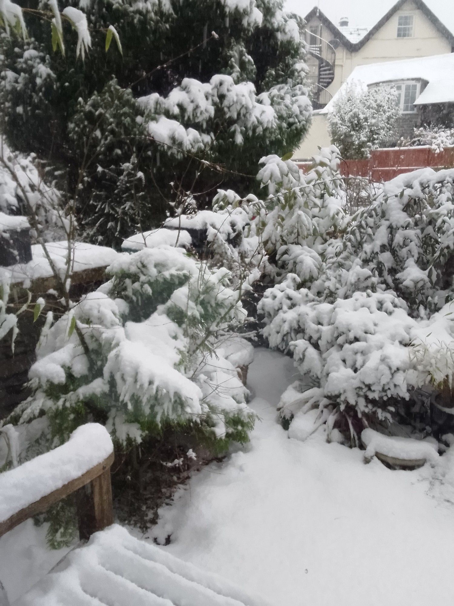 Thick snow over a winter garden