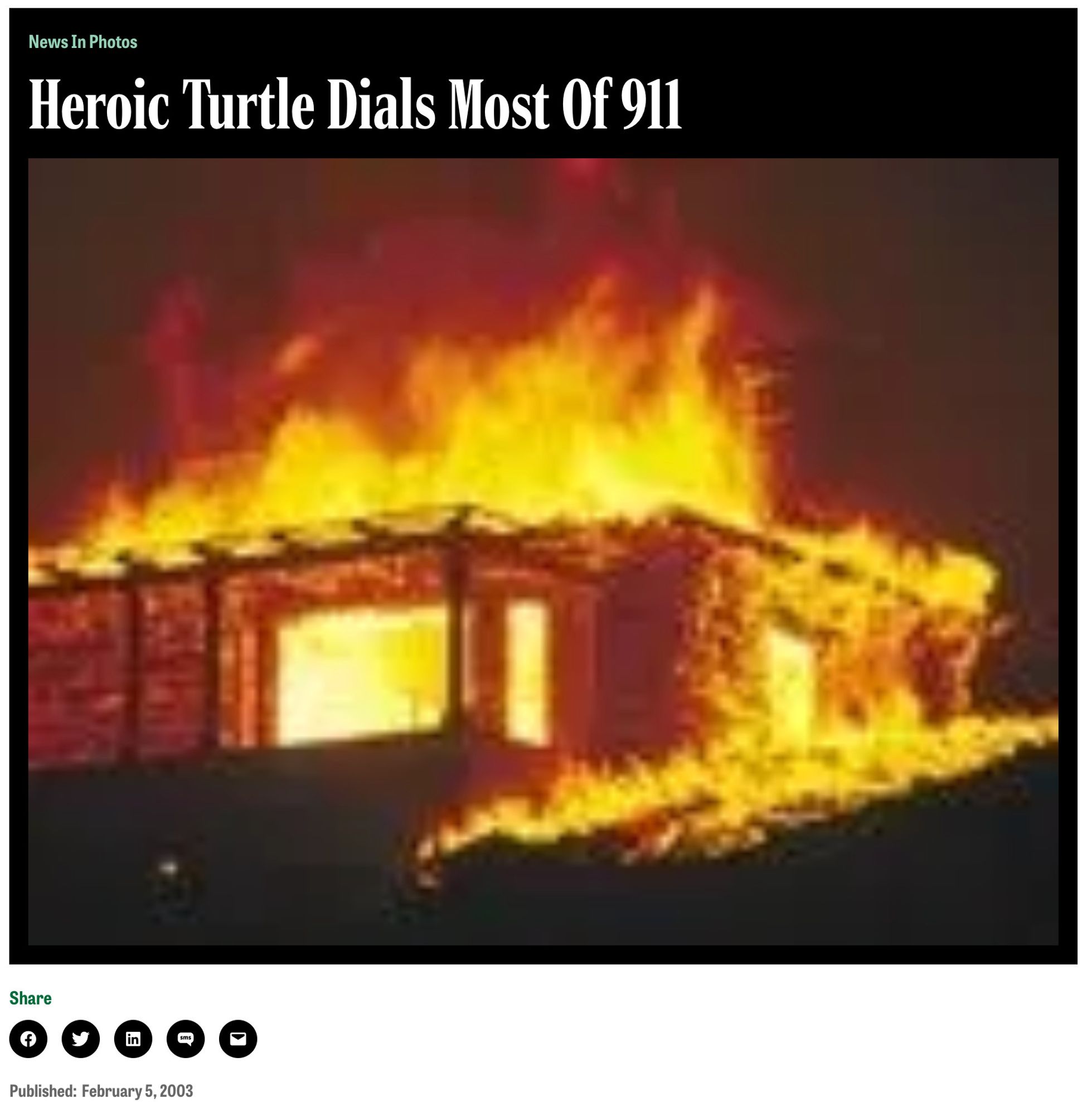 Heroic Turtle Dials Most of 911