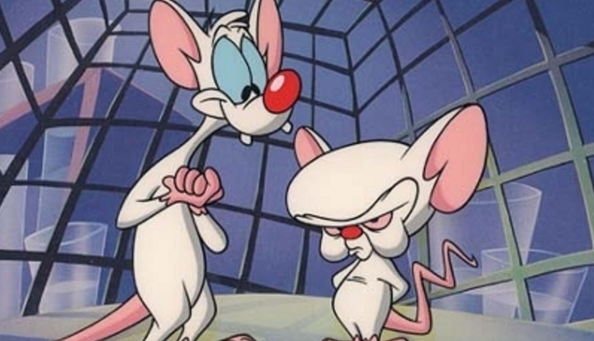 Die Labormäuse Pinky und der Brain in einem Käfig.