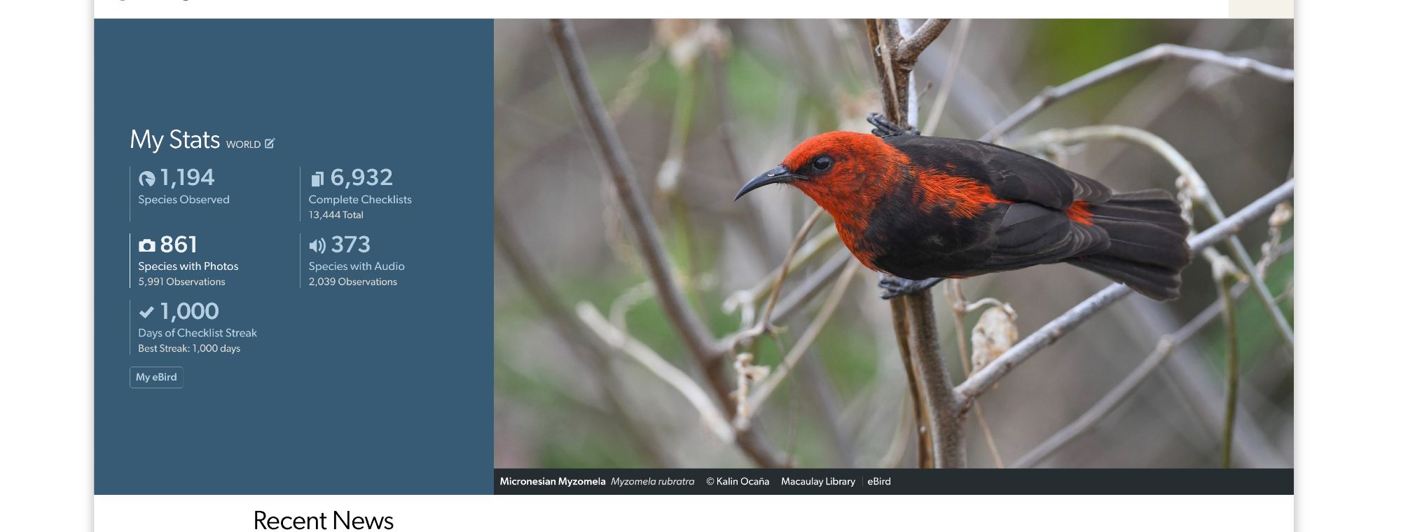 A screenshot of eBird with 1000 days of birding on it.