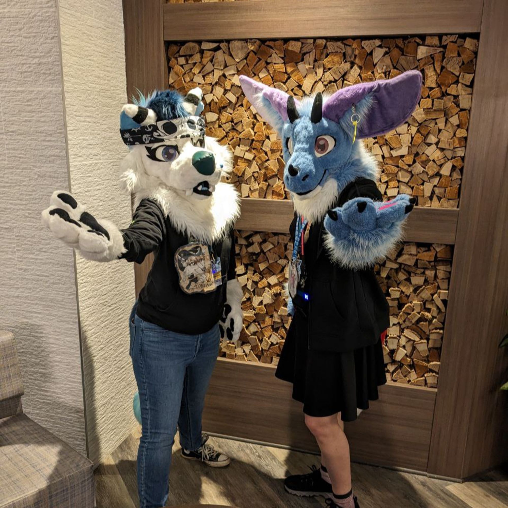 (Two Furries) One White Wolf Dog and another Dutch Angle Dragon posing in front of wood.