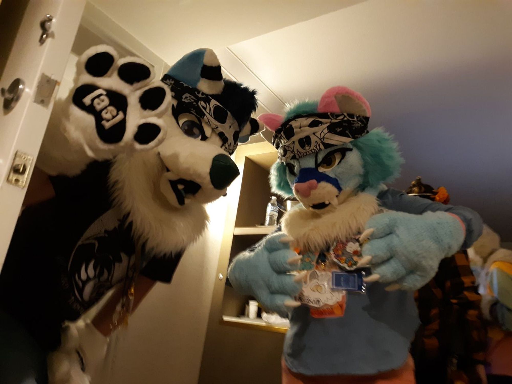 A white punk wolf dog with a Adult Swim logoed paw and  blue cougar both at a room party