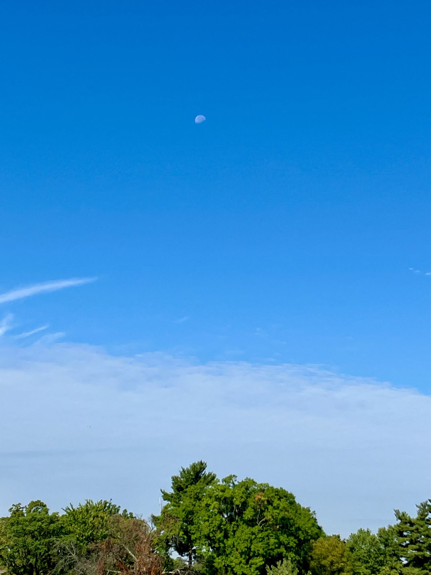 A setting waning moon in a blue sky with white wispy clouds above green tree tops on the first day of fall.