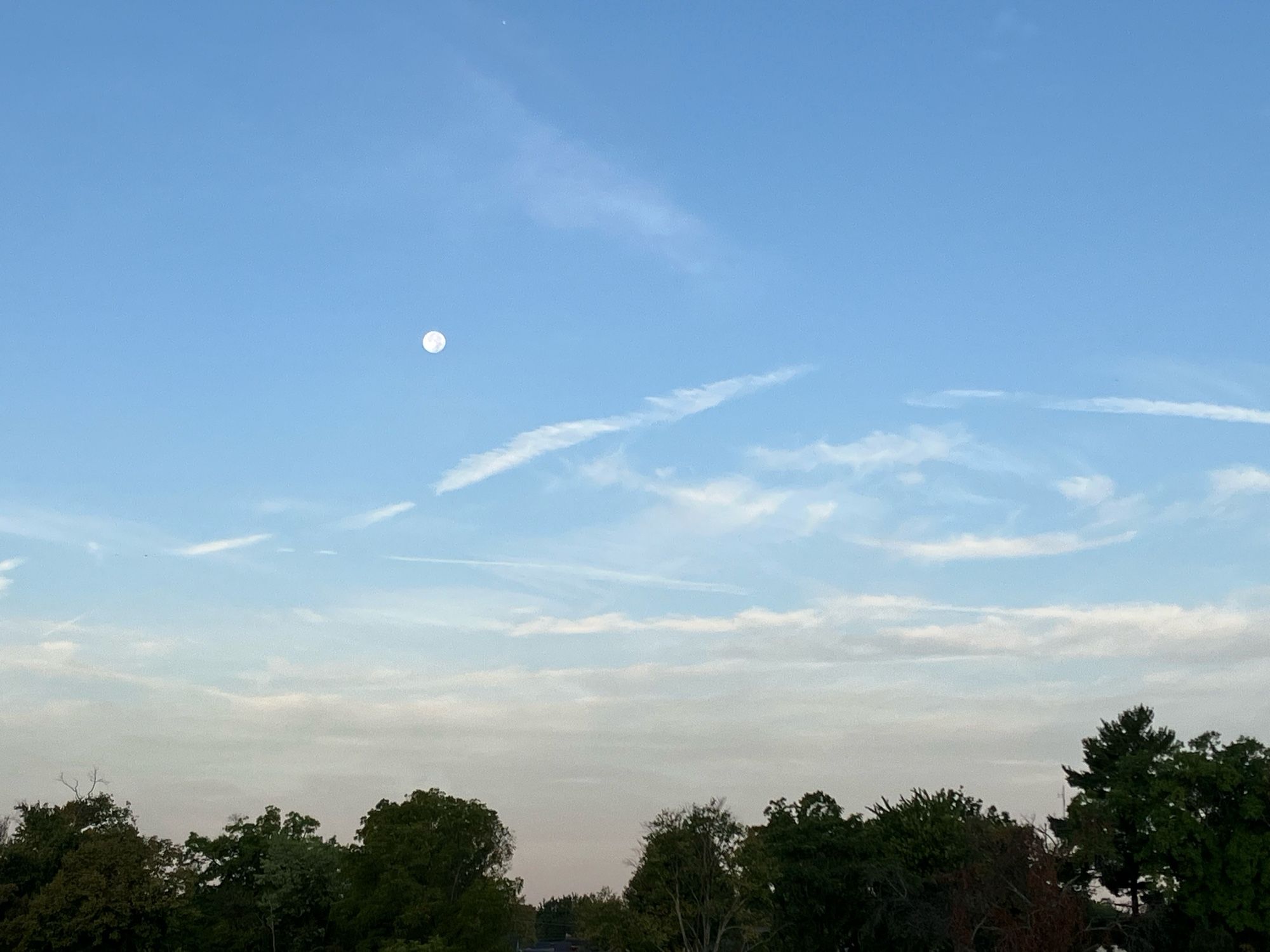 A wider view of the setting Harvest moon in a blue sky with wispy white clouds and a dark tree line at the bottom of the frame.