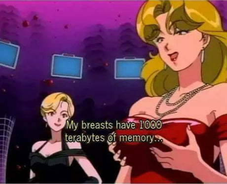 My breasts have 1000 terabytes of memory is being said by the woman to the right.