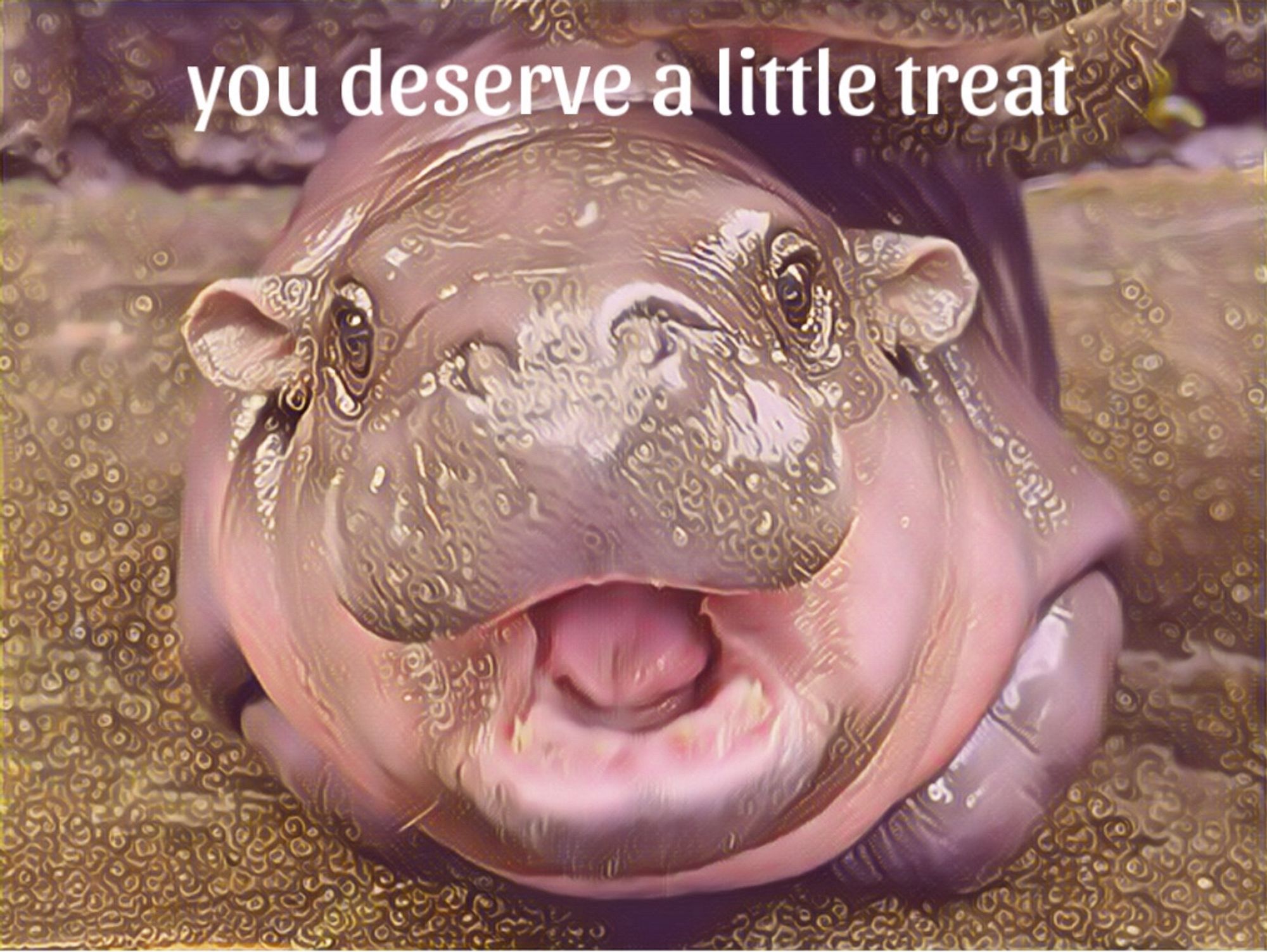 Digitally altered pic of the lil hippo. Main colors are rose and gold. Text reads you deserve a little treat.