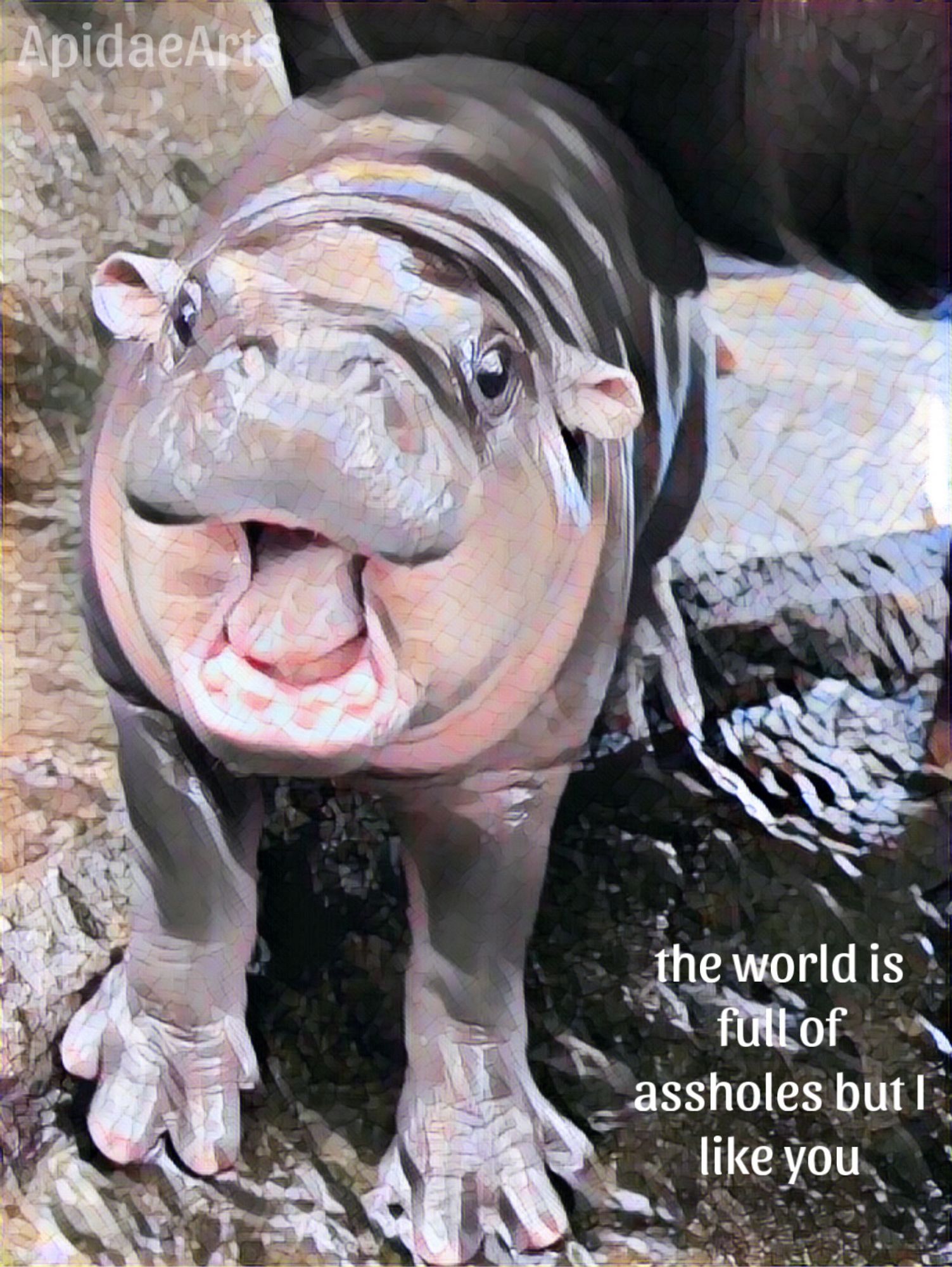 Digitally altered picture of the lil hippo by some water. Colors are pinks and greys. Text reads the world is full of assholes but I like you.