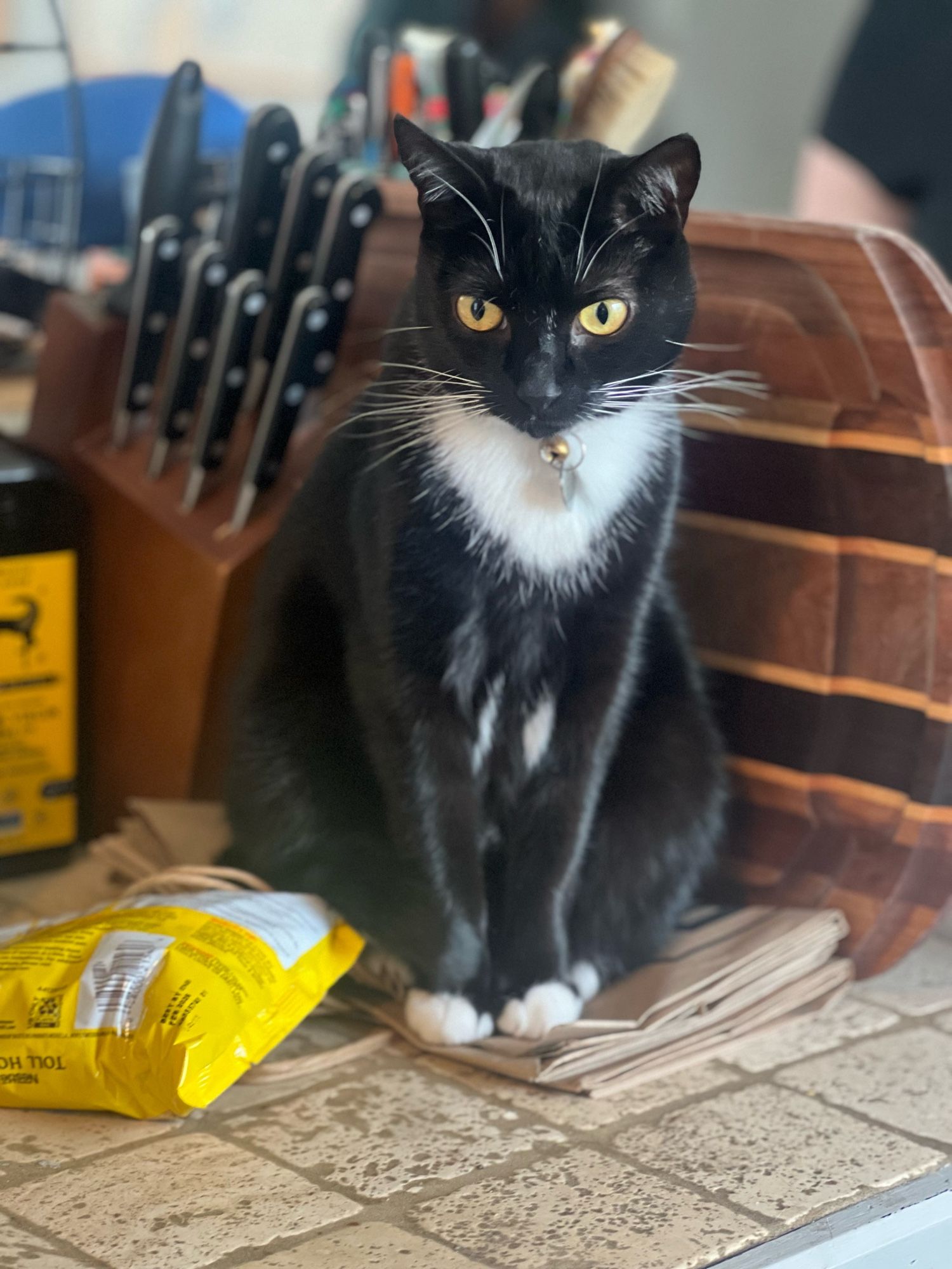 A black and white tuxedo cat sits upright on a pile of paper bags. Behind him are a knife black, a wooden cutting board, and a bottle of olive oil