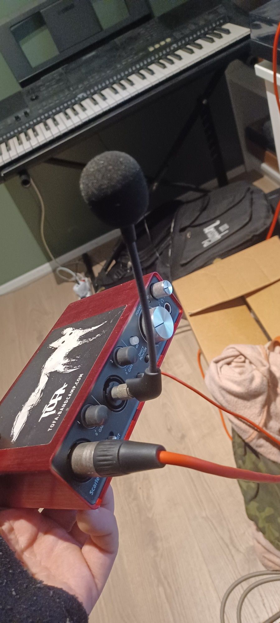 a crappy headset mic sans headset hooked up to a focusrite audio interface