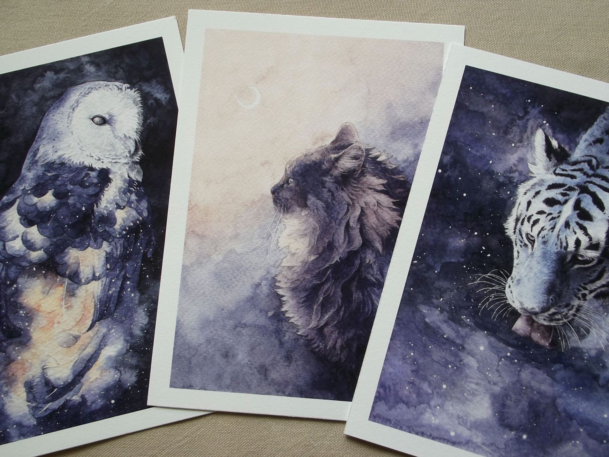 three art prints: starry owl; fluffy dawn cat; and tiger drinking the milky way.