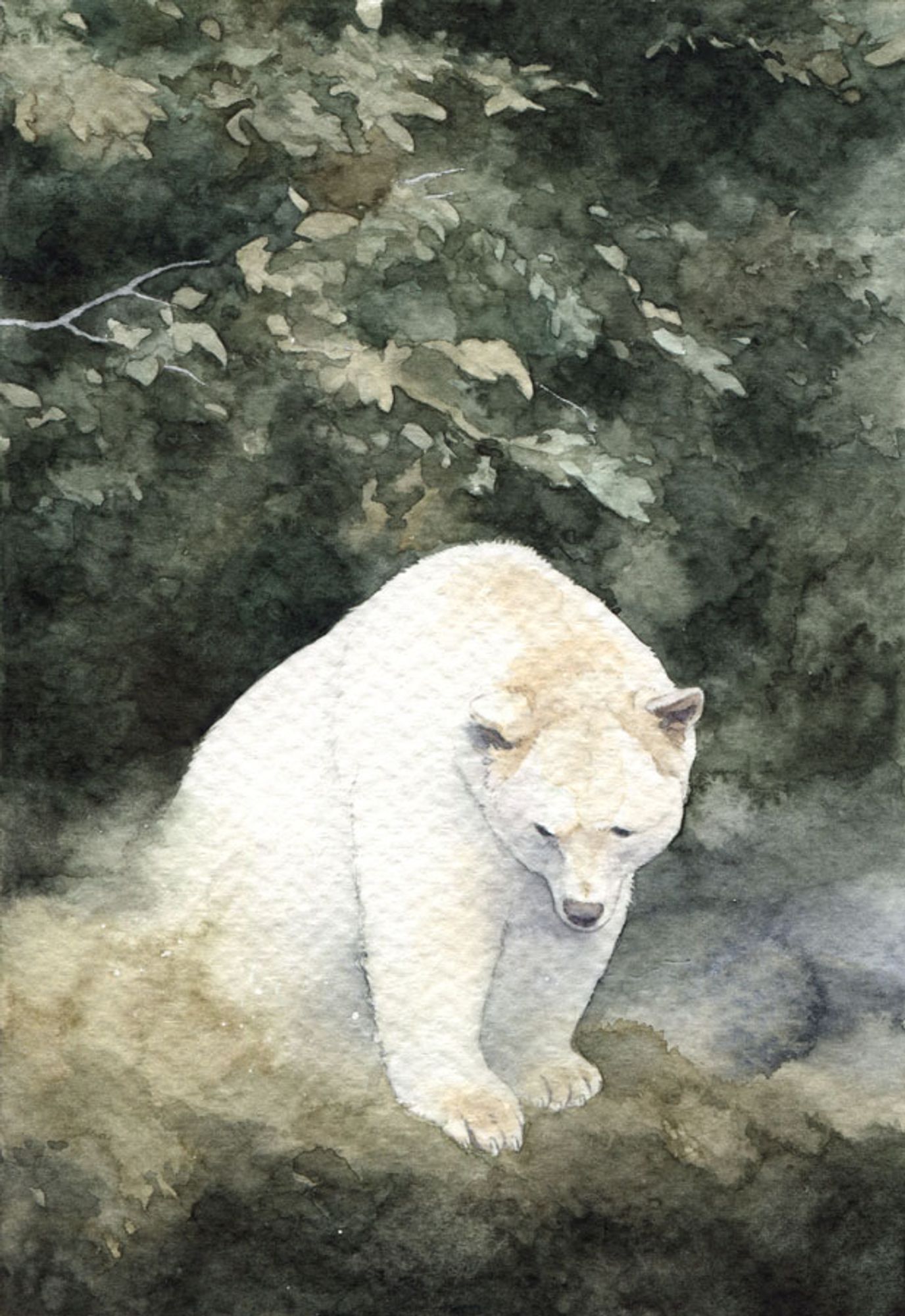 watercolor painting of a bear sitting on moss, with branches covered in green leaves in the background.