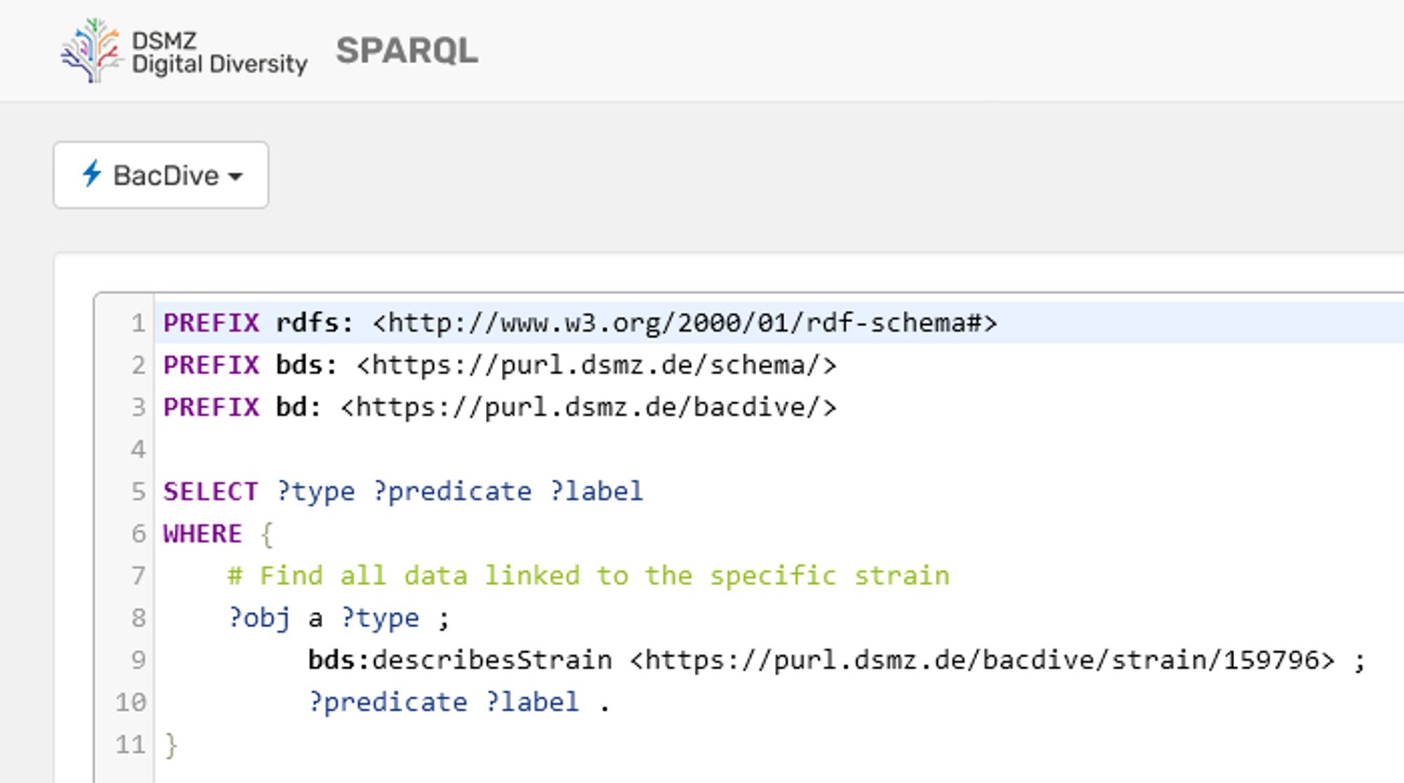 Preview of the BacDIve SPARQL page