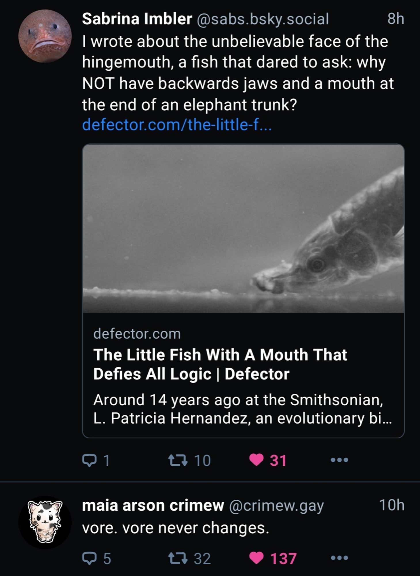 Screenshot of bluesky timeline. First post by @sabs.bsky.social: "I wrote about the unbelievable face of the hingemouth, a fish that dared to ask: why NOT have backwards jaws and a mouth at the end of an elephant trunk?
https://defector.com/the-little-fish-with-a-mouth-that-defies-all-logic", link title: "The Little Fish With A Mouth That Defies All Logic"
Second post: This post by @crimew.gay