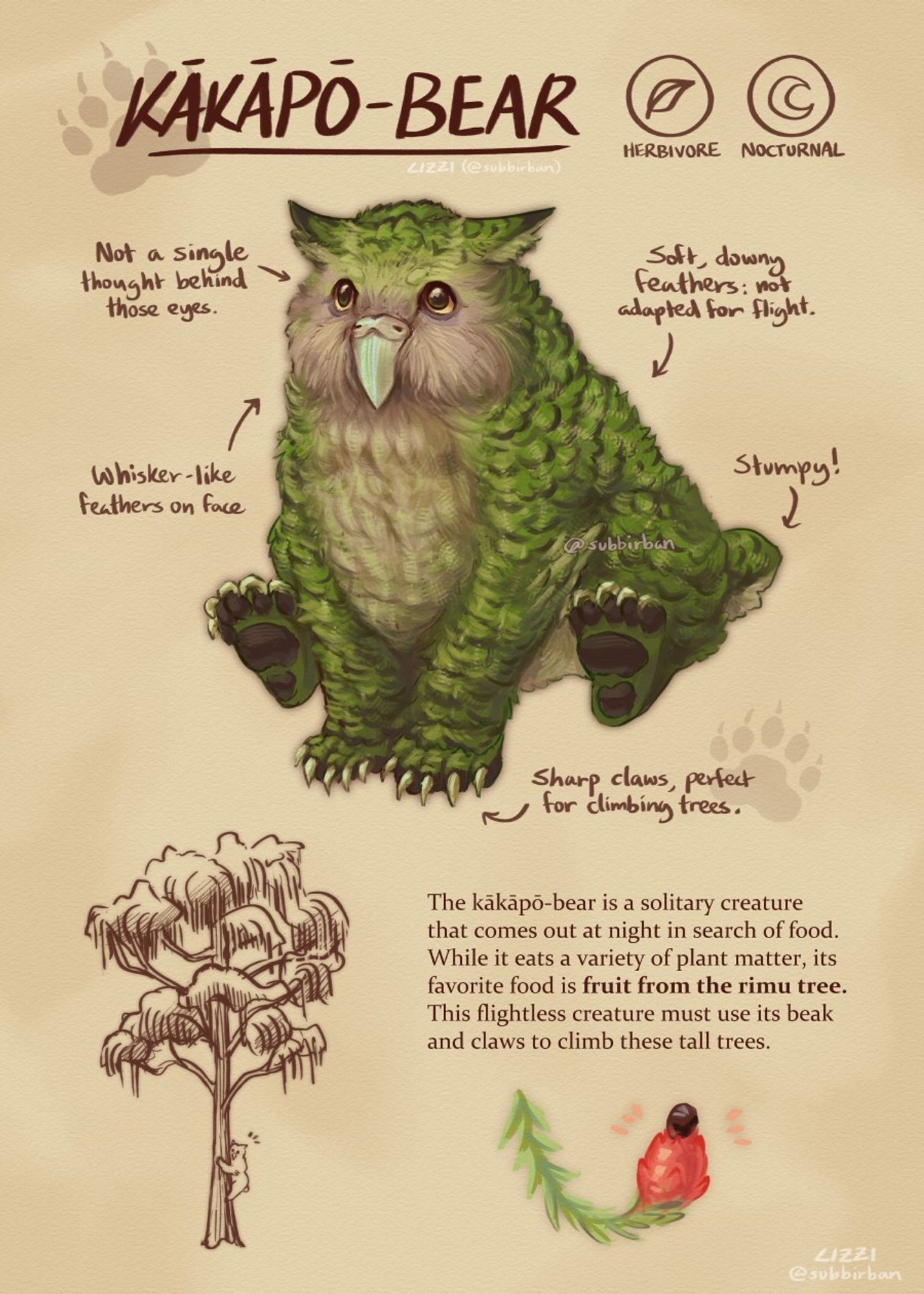 A reference sheet for a kākāpō-bear, a hybrid creature that is similar to the owlbear in the DnD universe. It is based off the real life kākāpō and black bear. It is covered mostly in green feathers, with a beige-toned face and underbelly and dark brown markings all over its body. It has large yellow eyes, long black claws, dark brown pawpads, and ear-like tufts on its head.