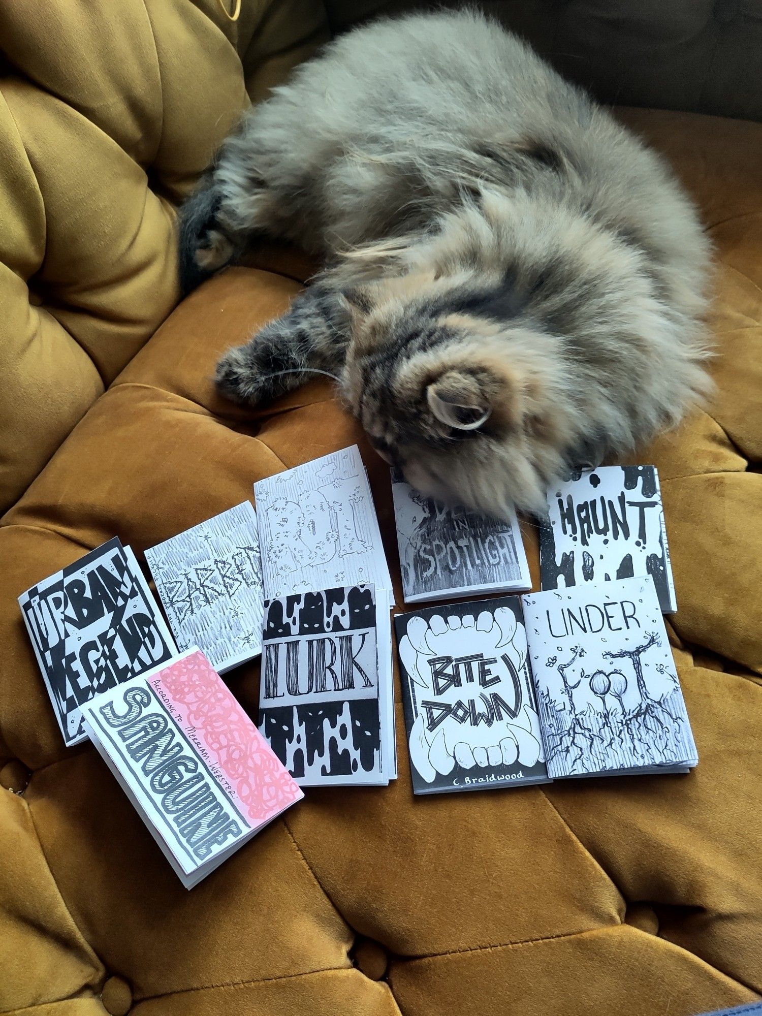 A very fluffy cat sniffs a selection of nine different zines while lying on a mustard yellow couch.