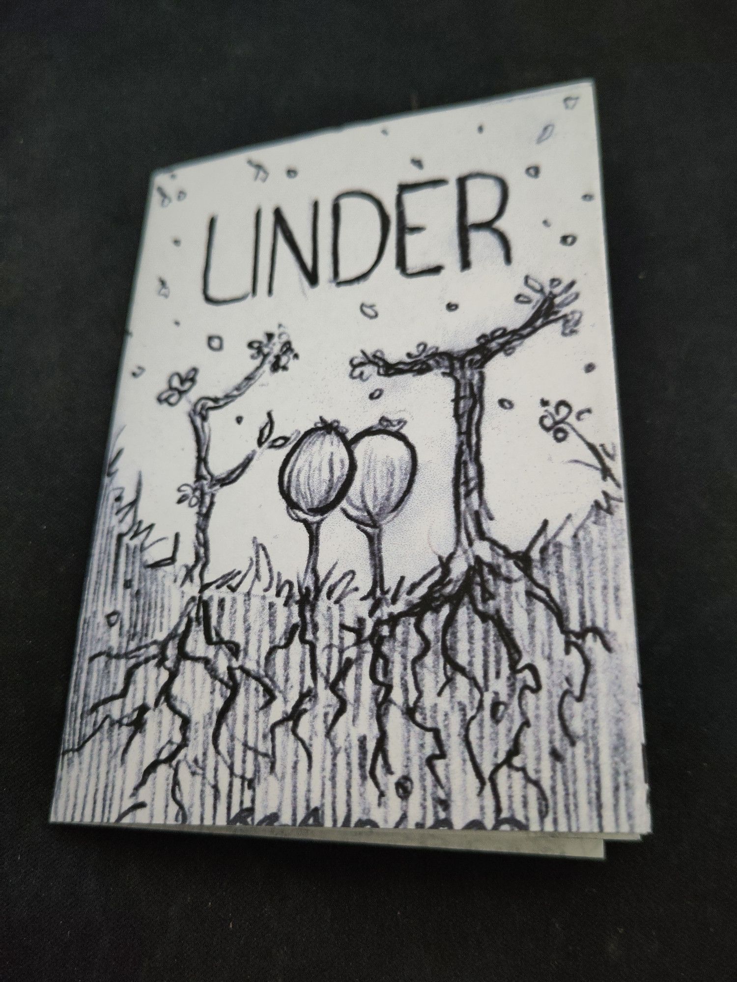 a mini zine, the title is 'under foot' the foot font is drawn to resemble plants growing from the ground.