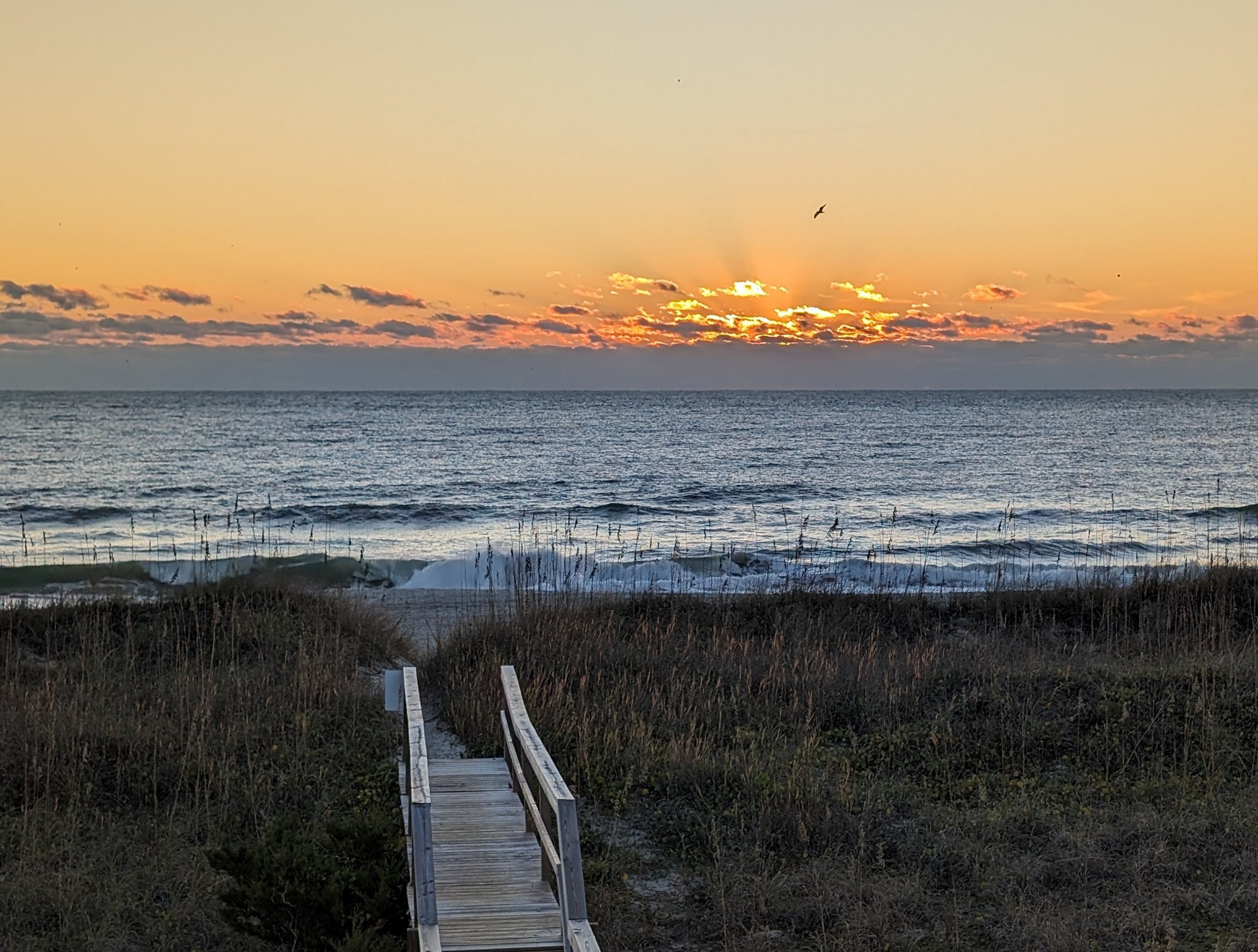 Orange and yellow sunrise over the ocean, with a bird flying high above