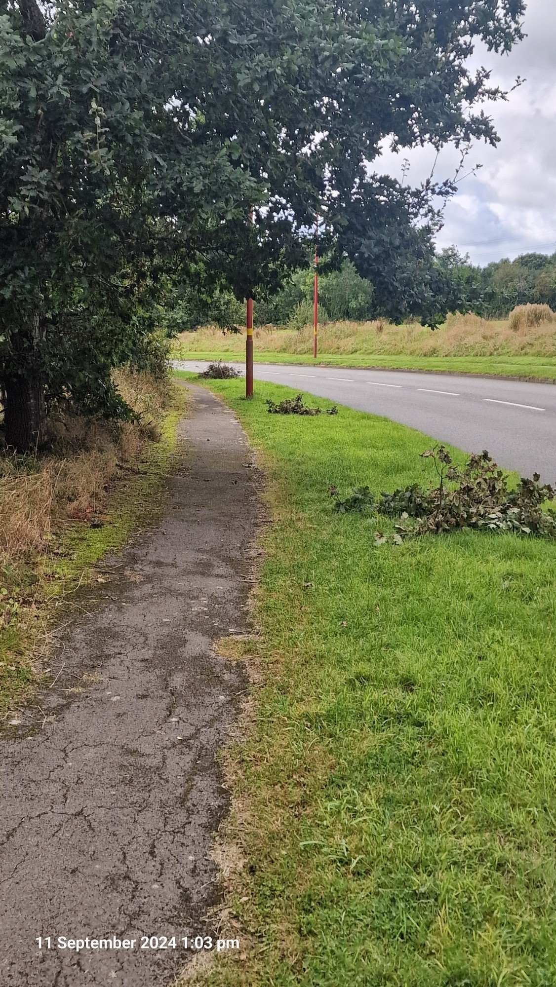 A footpath with three piles of hedge cutting, approximately 40 yards apart, lying on the grass verge, which is next to a main road.