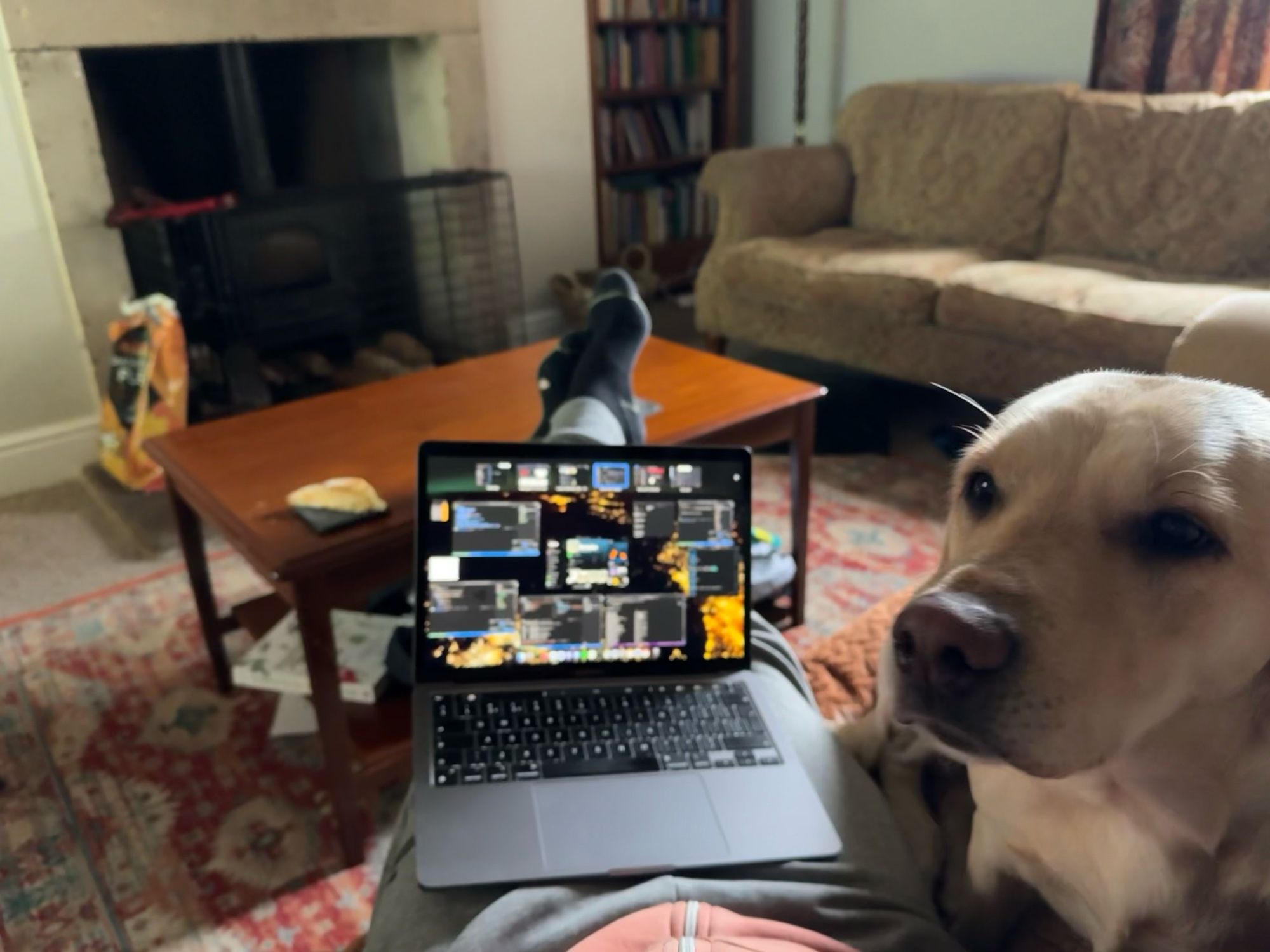 Living room with a log burner and fireplace in the background.

Sat on the sofa with my feet on the coffee table, laptop on my lap. Yellow Labrador sitting alongside waiting to be petted.