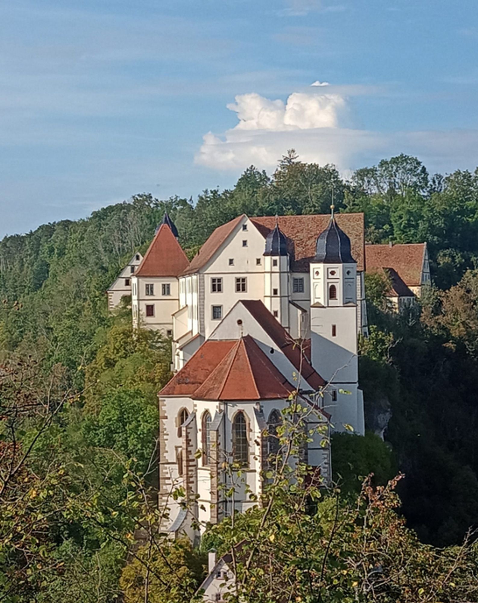 Ein Bild vom Haigerlocher Schloss im Grünen, der Himmel blau, über dem Schloss scheint eine Wolken zu thronen.