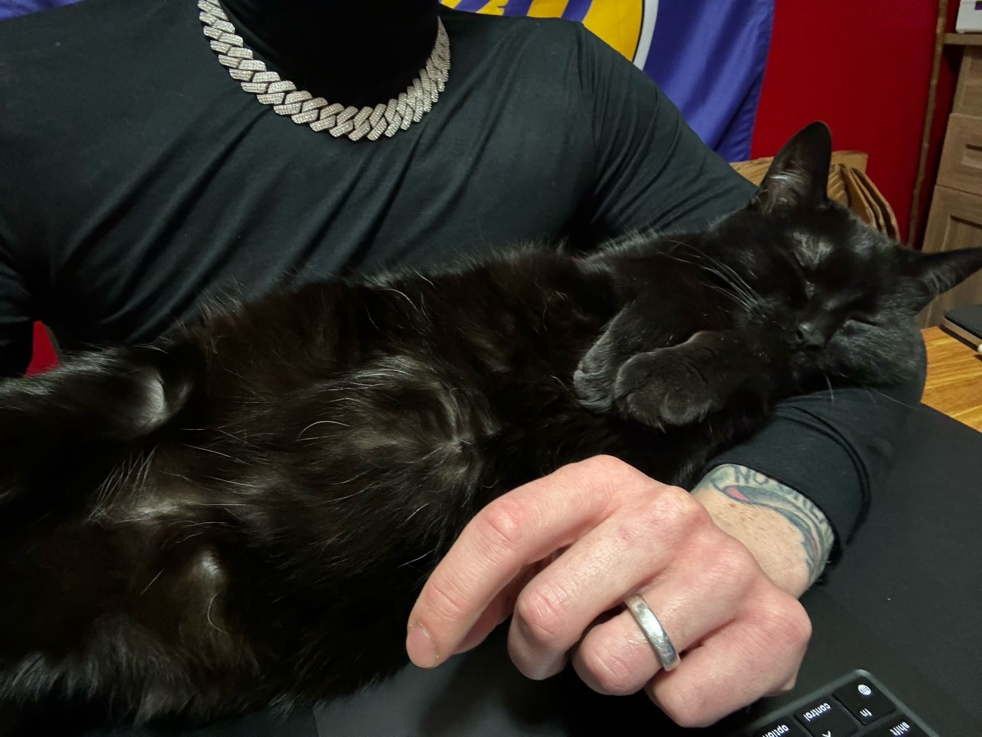 Black cat sleeping in the arms of a handsome man