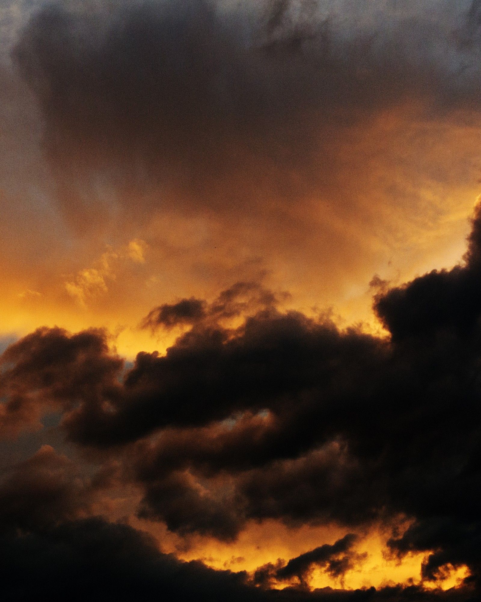 A photo of a sunset. Some clouds are jet black, whereas others are a bright, burning orange