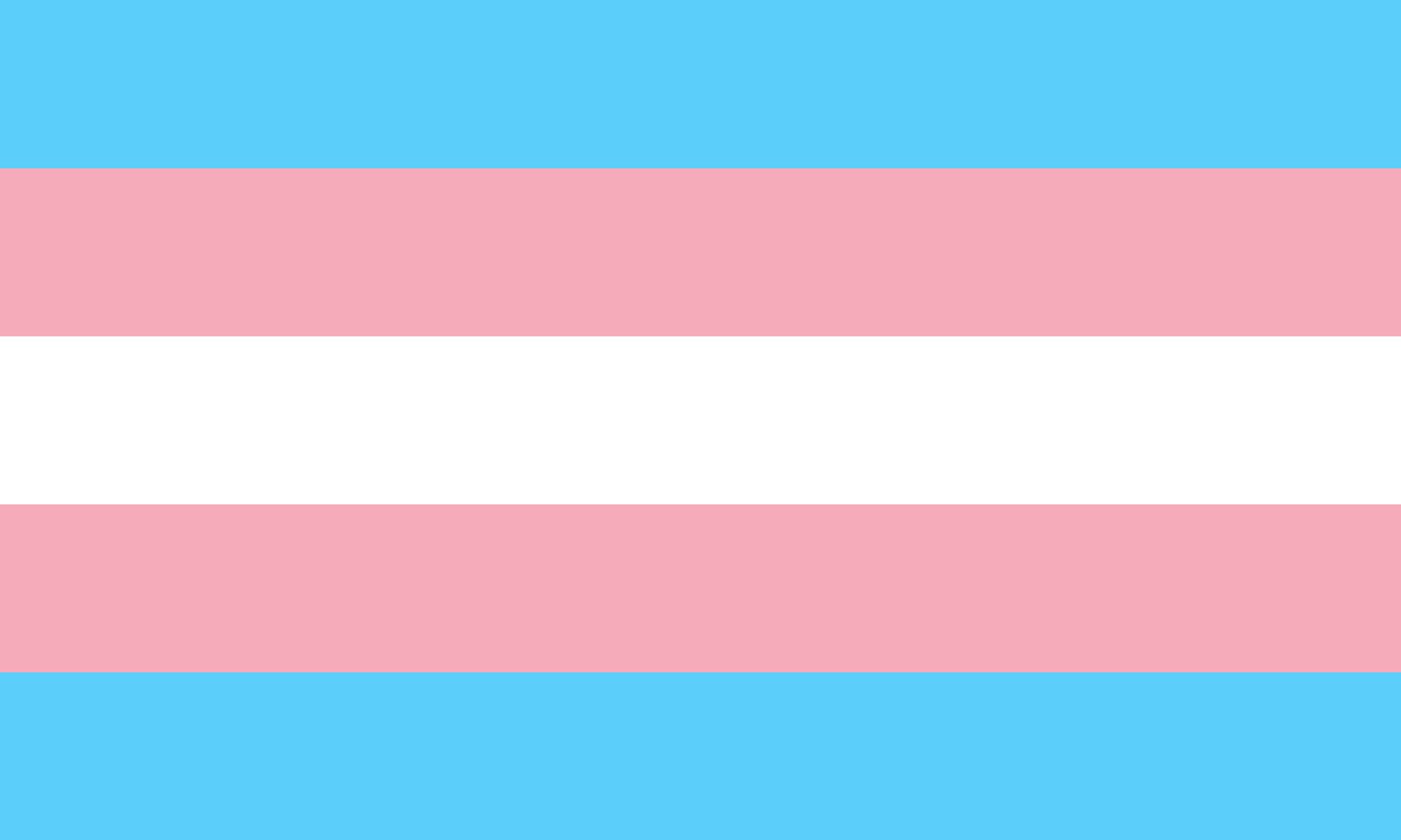 transgender flag