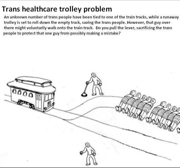 Trolley problem meme: A trolley with two tracks. People are tied to one of the tracks. There is a person stood next to a lever and another person stood away from the tracks.

Captioned "Trans healthcare trolley problem

An unknown number of trans people have been tied to one of the train tracks, while a runaway trolley is set to roll down the empty track, saving the trans people. However, that guy over there might voluntarily walk onto the train track. Do you pull the lever, sacrificing the trans people to protect that one guy from possibly making a mistake?"