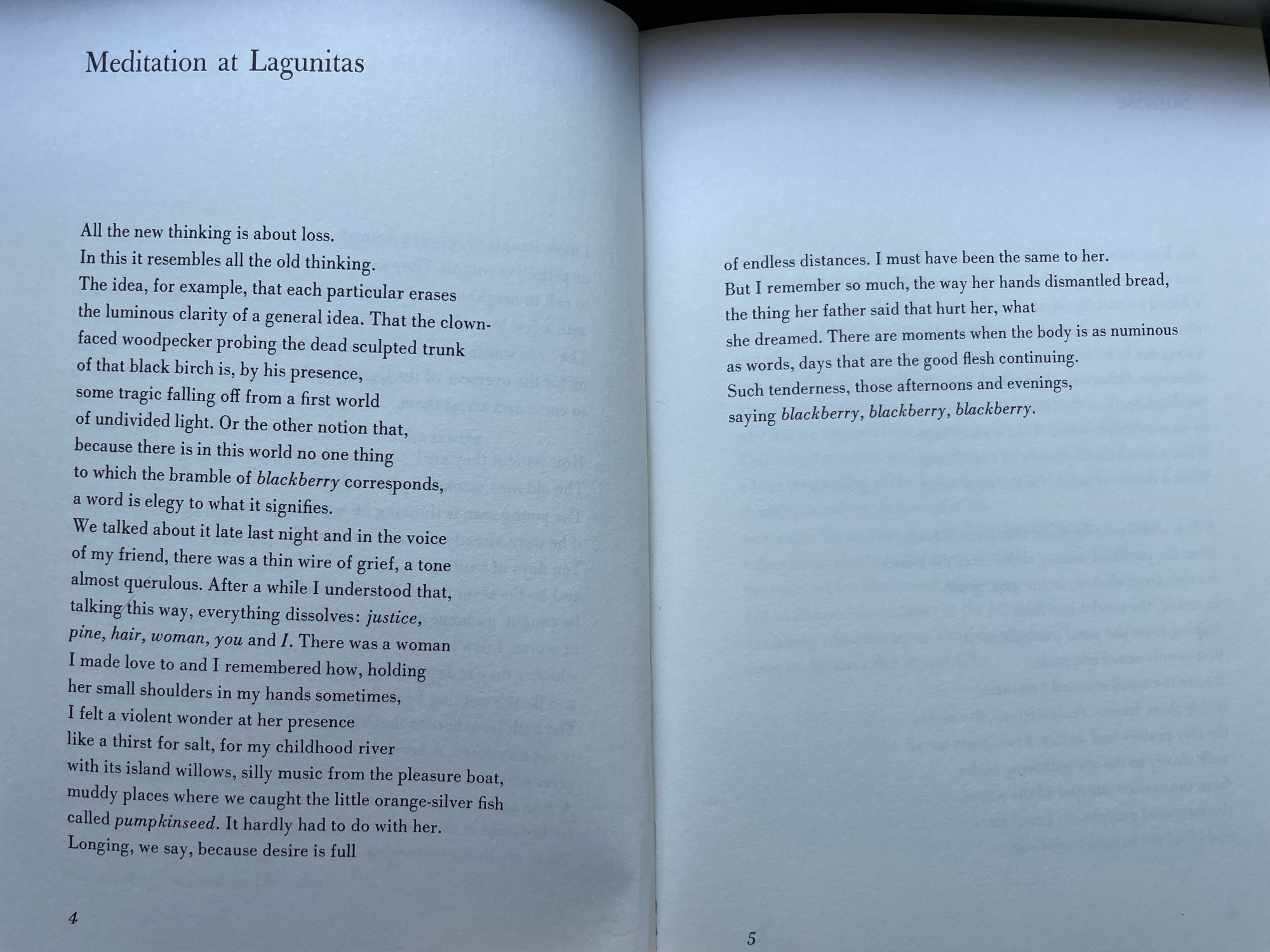 Bluesky won’t let me put in the whole text here, alas, but you can find this astonishing poem here https://www.poetryfoundation.org/poems/47553/meditation-at-lagunitas
Or by searching the poetry foundation for Meditation at Lagunitas.