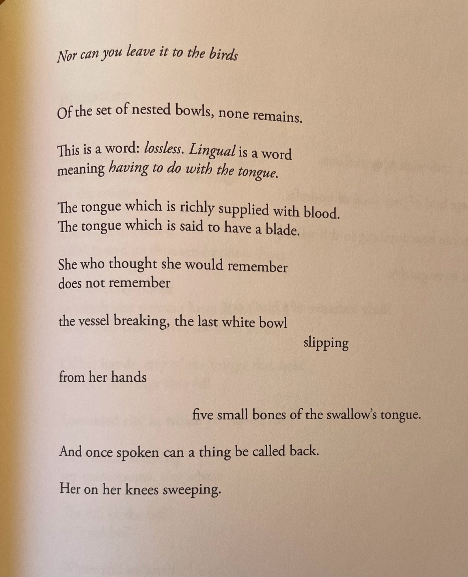 A poem called “Nor can you leave it to the birds”. I can’t duplicate the extraordinary spacing here but here are the words

Of the set of nested bowls, none remains. 

This is a word: lossless. Lingual is a word
meaning having to do with the tongue. 

The tongue which is richly supplied with blood. 
The tongue which is said to have a blade. 

She who thought she would remember
does not remember

the vessel breaking, the last white bowl
slipping

from her hands

five small bones of the swallows tongue. 

And once spoken can a thing be called back. 

Her on her knees sweeping.          