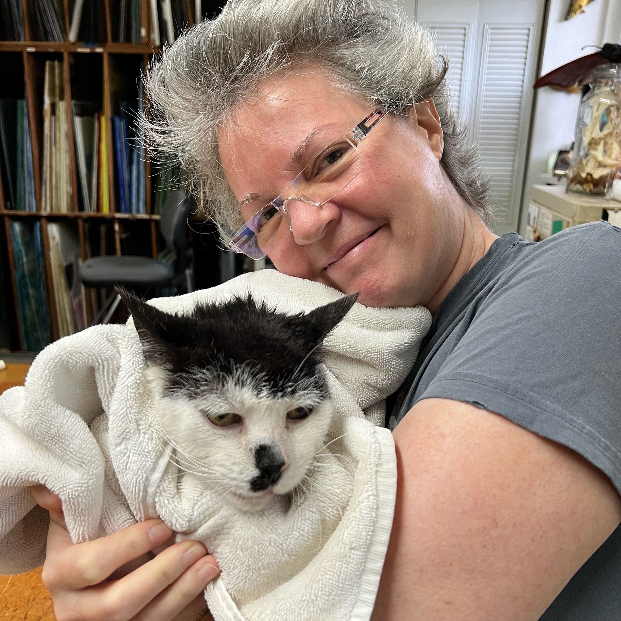 Black and white cat wrapped in a towel.