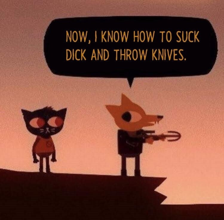 A screenshot from the game "Night in the Woods" of a scene where the character Gregg (the fox wearing a leather jacket and holding a crossbow on the right) talks to his friend Mae (the blue cat wearing a t-shirt on the left) about how his father tried to make him less gay by teaching him how to throw knives. 

It didn't work, so as Gregg states in this image "Now, I know how to be suck dick and throw knives"