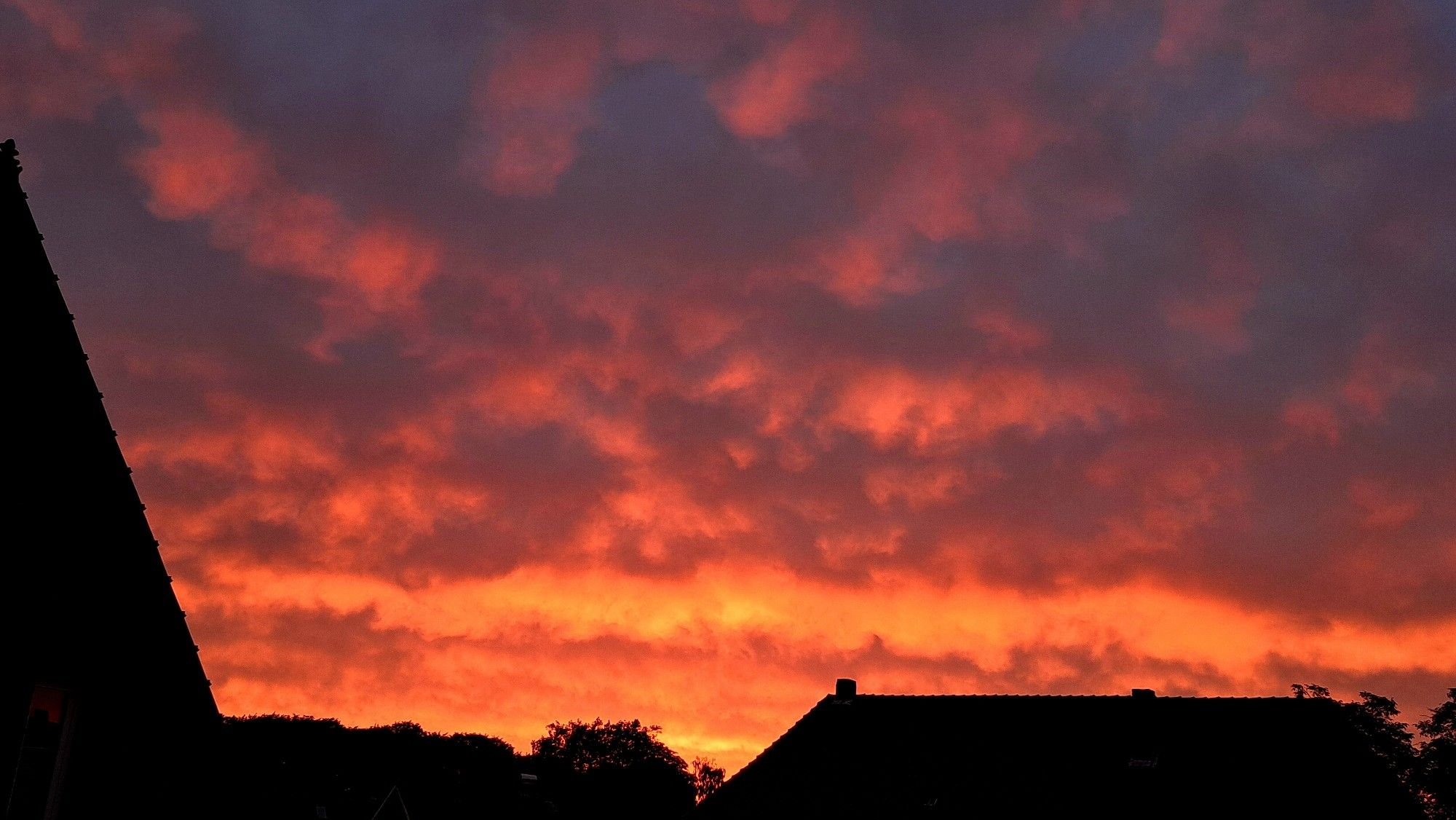 Blauer Abendhimmel mit vielen Schäfchenwolken, die kräftig rot und orange leuchtend von der untergehenden Sonne eingefärbt werden. Es sieht aus, als wenn der Himmel brennt. Silhouetten von Hausdächern und Bäumen am linken und unteren Bildrand.