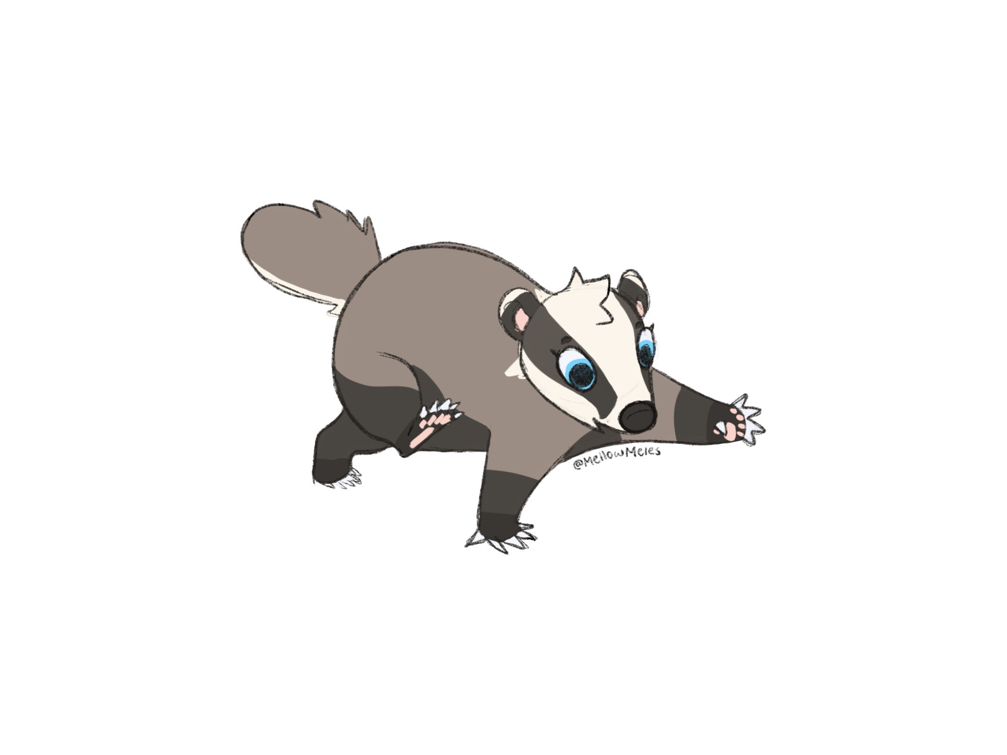 doodle of Bramble the badger doing a BIG steppy, one front and one back leg lifted