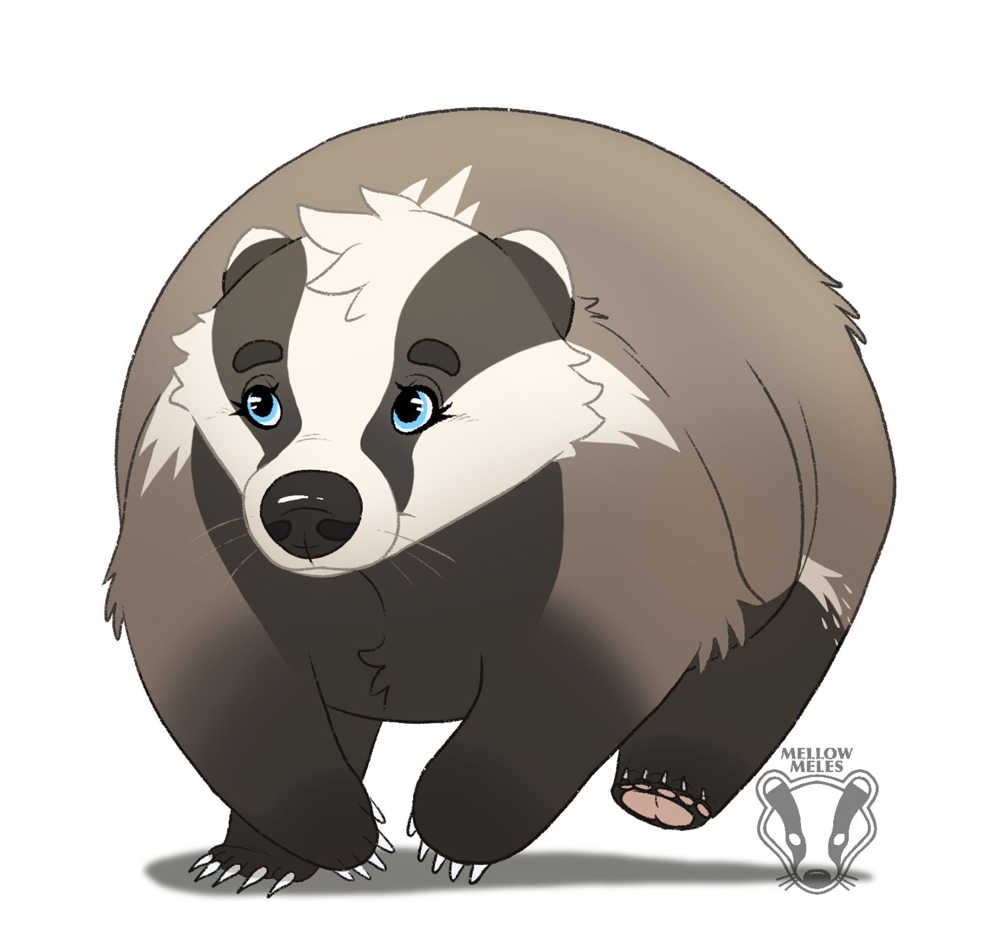 drawing of Bramble the badger being exceptionally round