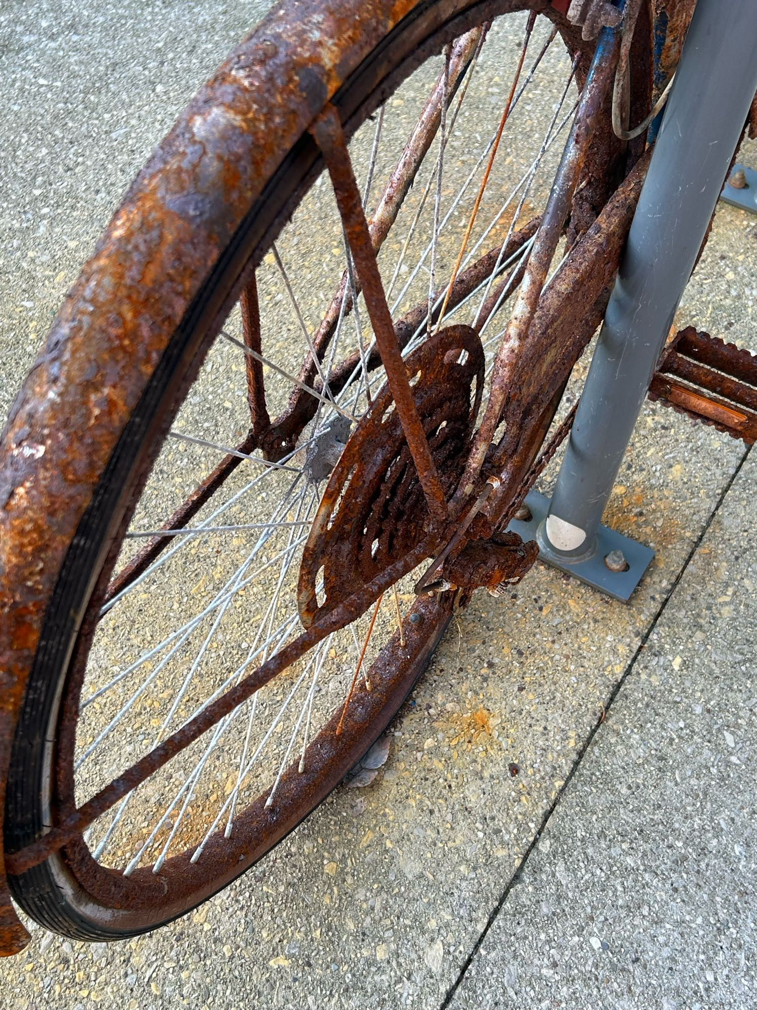 Rusty 5-speed cog on back wheel