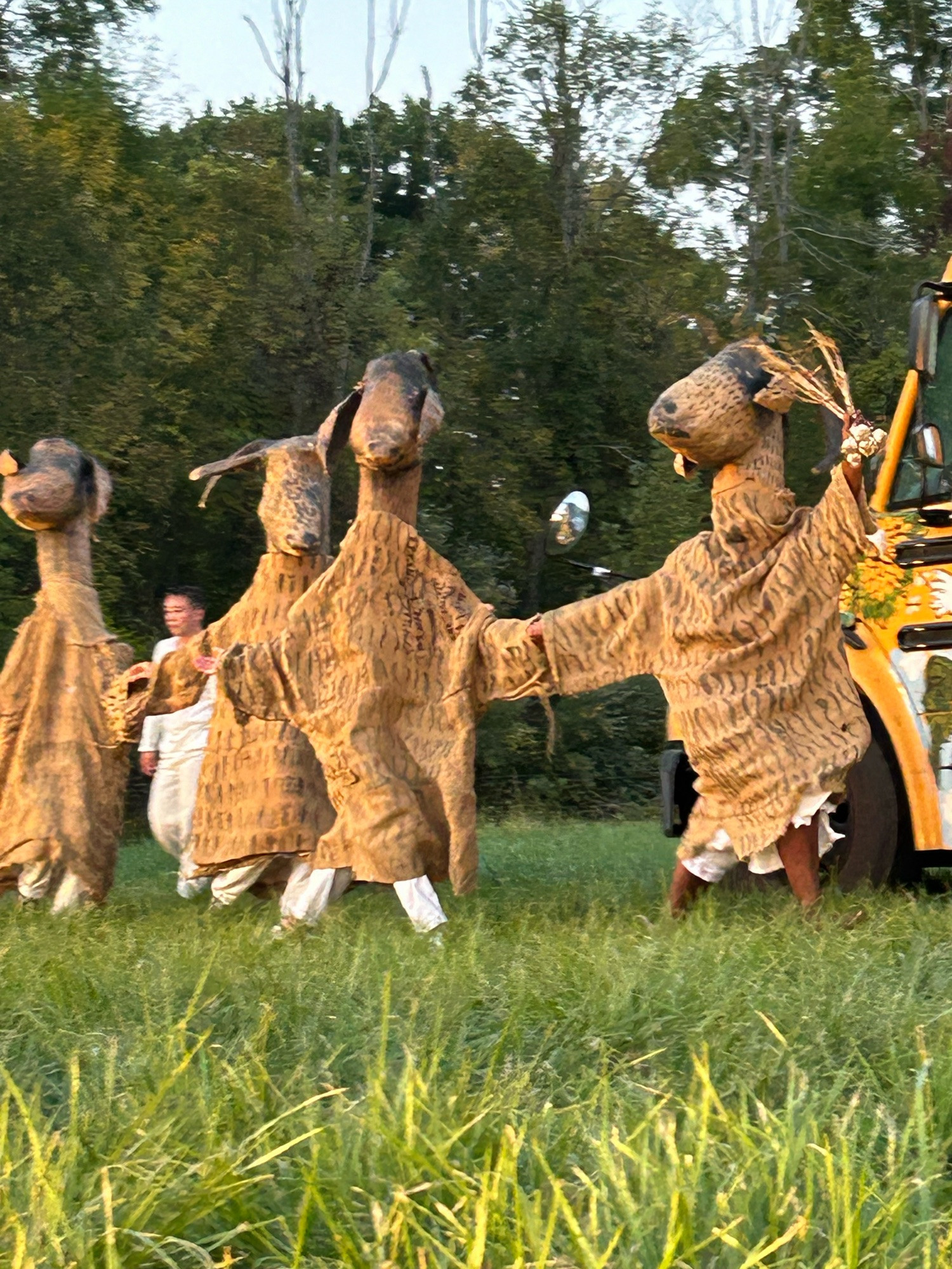 Human-size goat puppets, holding large garlic, on green grass, hint of a school bus to the right