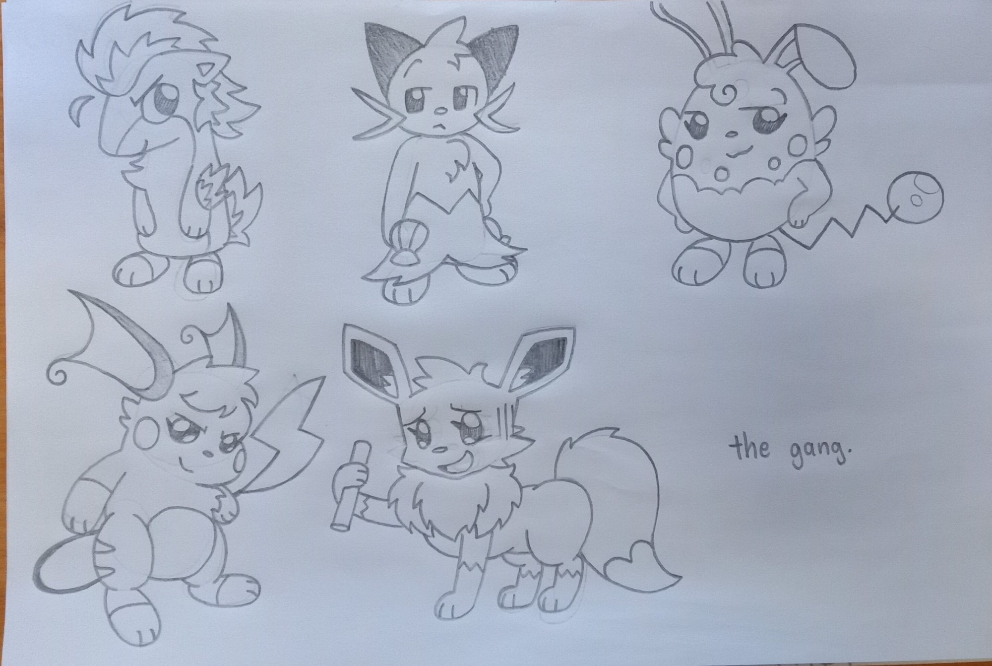 Matthew the Quilava, Mickey the Dewott, Jerika the Azumarill, Rae the Raichu and Vari the Eevee

Fun Fact: Every character presented here were created around the same time when I was younger