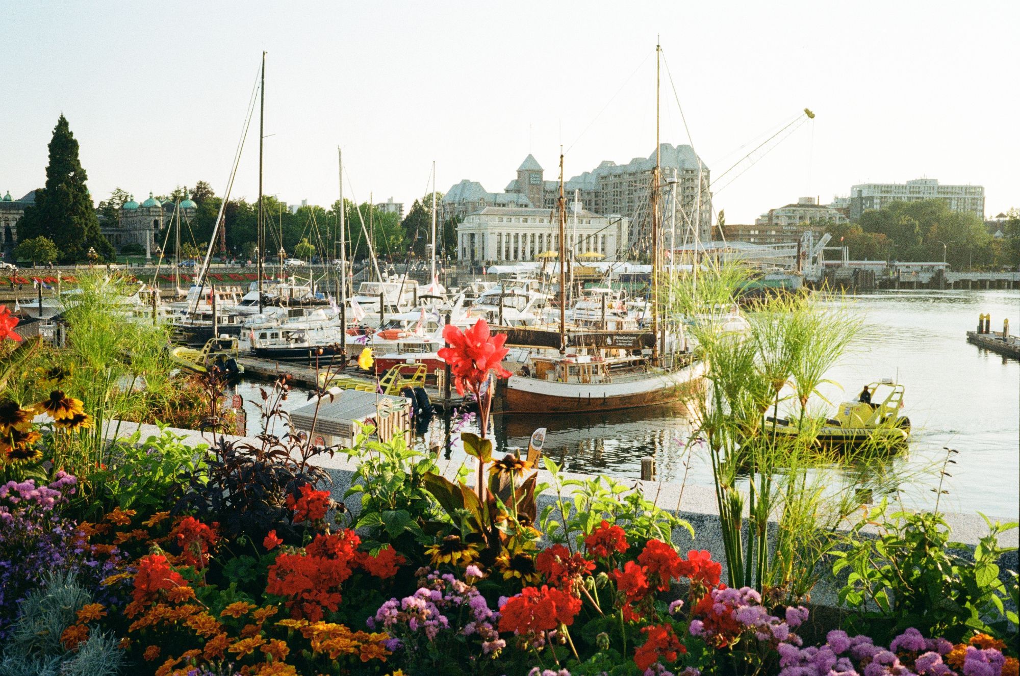 A film photograph of a harbor full of boats with colorful flowers in the foreground