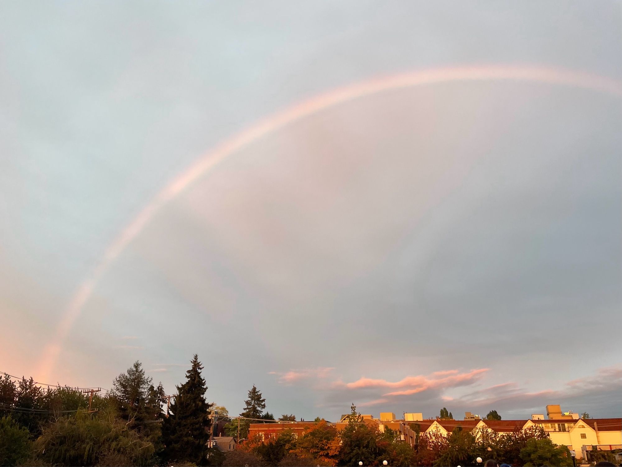 A rainbow across the sky at dusk with pink clouds, trees, and buildings along the horizon