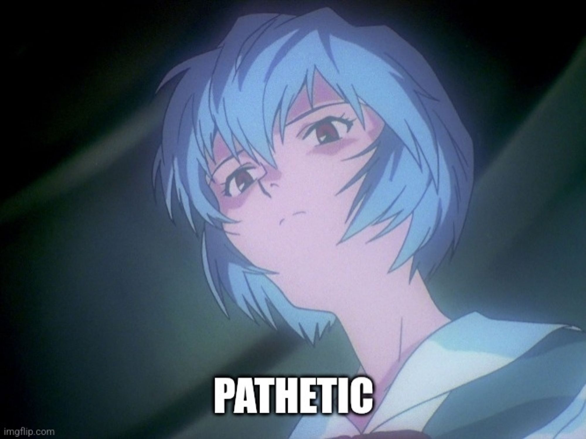 Rei Ayanami doing the glowering Seymour Skinner pose and saying "pathetic".